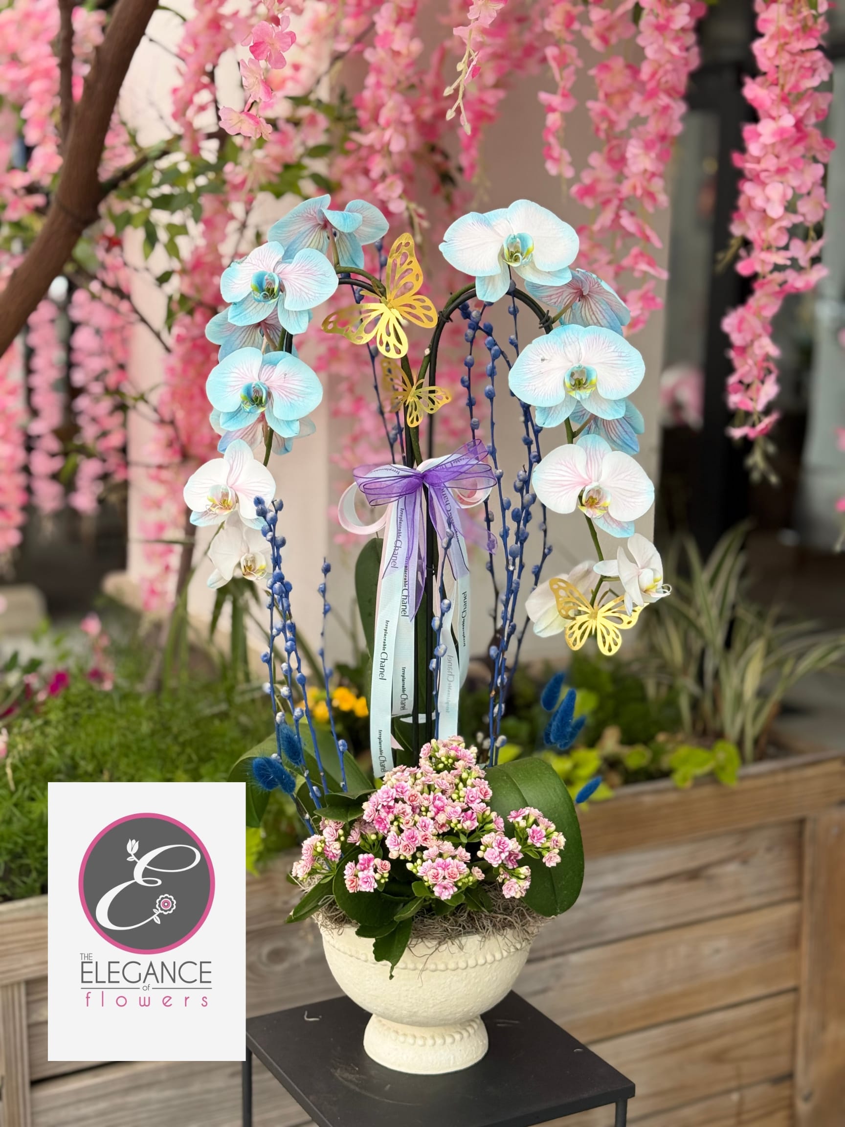 Orchid Arrangement #17 - N/A