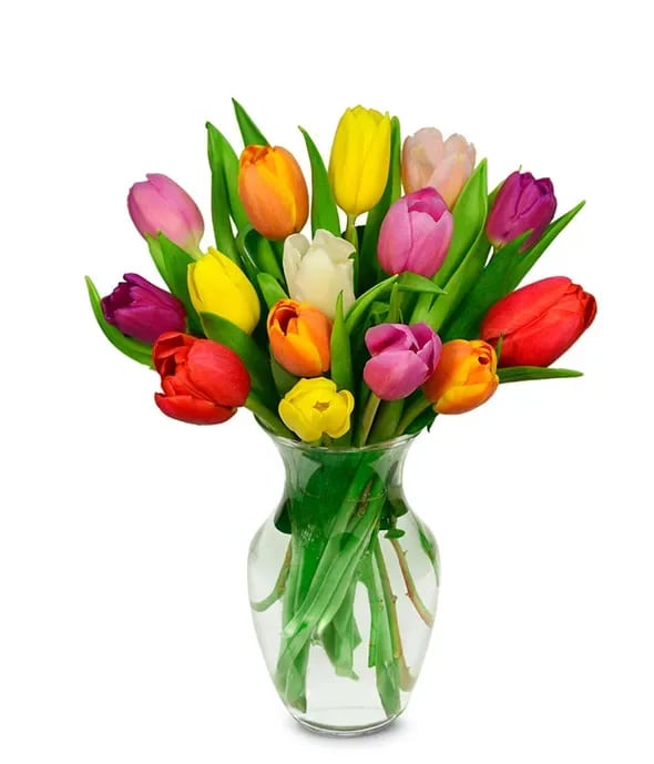 Rainbow Tulips - 20 Stems of Mixed Tulips in A Vase