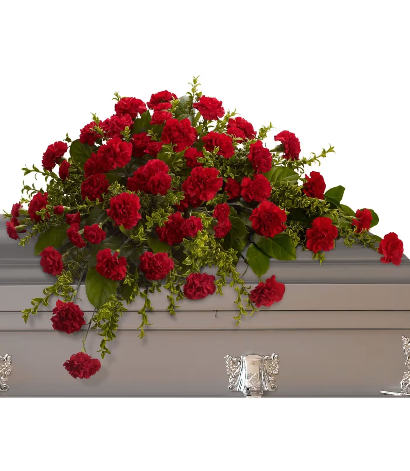 Adoration Casket Spray - his classic half-couch spray of brilliant red carnations makes a striking and dignified statement.  Radiant red carnations and miniature carnations accented by fresh greenery arrive in a lovely spray.  Approximately 36" W x 27" H