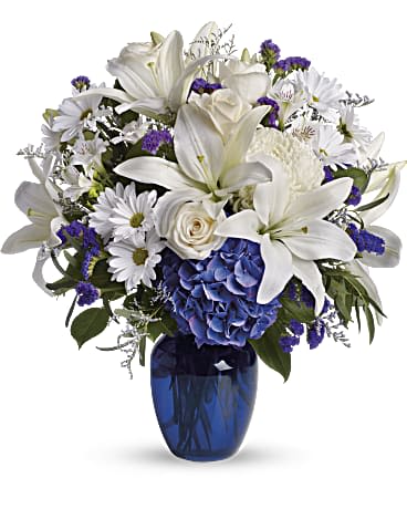 Beautiful in Blue - Brighten the home with the peace and beauty of a bright blue sky. This beautiful bouquet pairs pure white flowers with deep blue blooms in a gorgeous blue glass vase. Blooms such as blue hydrangea, crème roses, graceful white oriental lilies, white alstroemeria, a white disbud mum, purple statice and lavender limonium are accented by seeded eucalyptus and salal in a 8 inch cobalt blue glass vase. 
