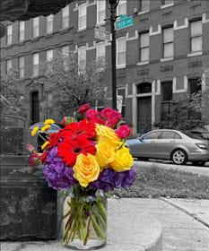 Park Ave - Bright arrangement of Red Gerber Daisies, Yellow Roses, Matsumoto Asters and Purple Hydrangea