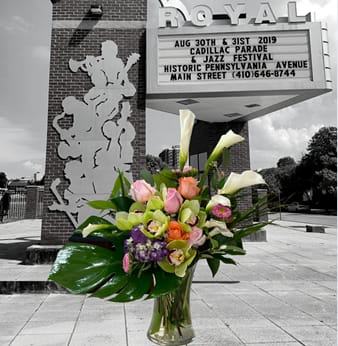 Pennsylvania Ave - In honor of Black History month, our Flower of the Avenue this week is Pennsylvania Ave. This classy but unique design of calla lilies, roses, orchids and more, exemplify Pennsylvania Avenue's rich legacy as the epicenter of Baltimore's Black Community. Once anchored by the Avenue Market, the Royal Theater and the Sphinx Theater, as well as countless Jazz Clubs, Restaurants, and Doctors' Offices it is known as Baltimore’s premier historic African American community.