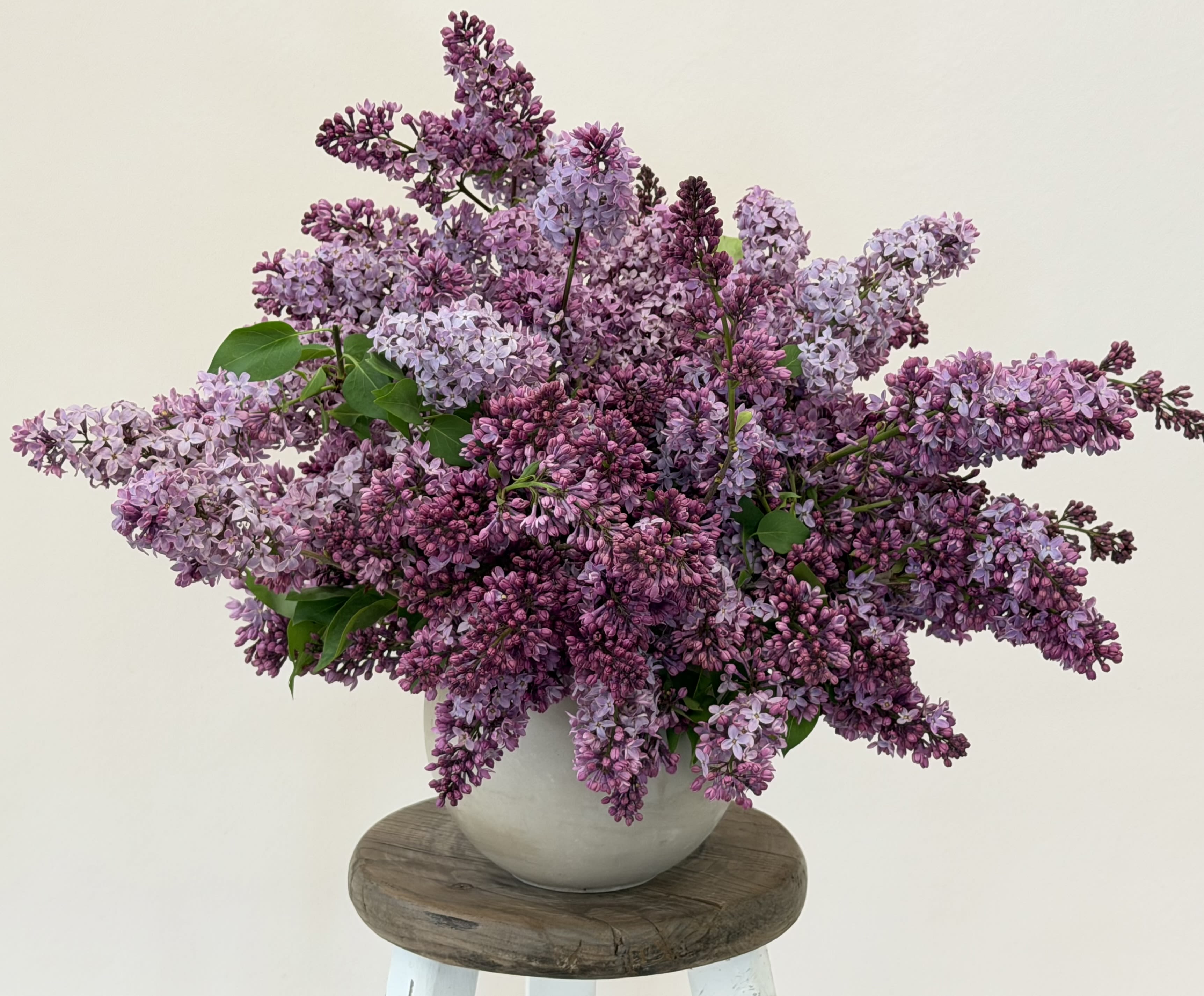The I'm so happy it's Lilac Season Arrangement. - Whether your home or office needs some Spring sprucing, or that special someone's life needs it, our multiple size Lilac arrangement options are potent Spring everything!