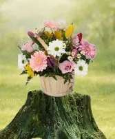 K128D Springy Basket  - K128 Kiko’s Springy Basket A larger round brown basket with a handle. And it is still a delightful celebration of spring, overflowing with a vibrant assortment of fresh seasonal blooms. Featuring lisianthus, germinis, daisies and other cheerful flowers, this arrangement brings a burst of color and joy to any space. The exact shades may vary slightly from week to week as we always select the freshest blooms available, ensuring a lush and lively display. Arranged in a charming rectangular whitewashed basket with a handle, this design is perfect for birthdays, Easter, Mother’s Day, or simply brightening someone's day with a touch of springtime happiness.         