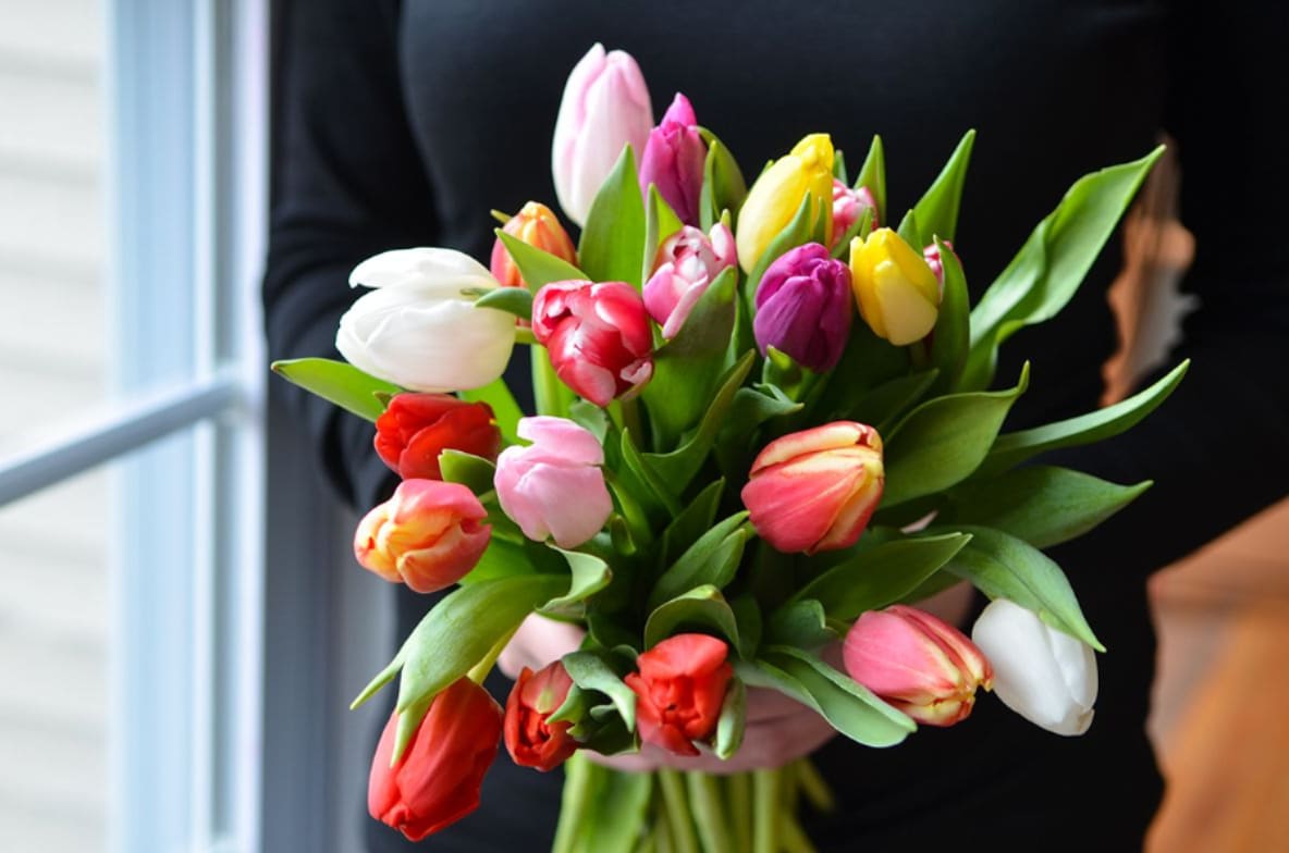 Wrapped Tulips - A beautiful, wrapped bouquet of all mixed colored tulips will be a welcomed gift!
