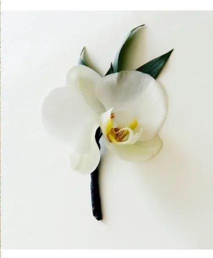 Single white orchid boutonniere with black-wrapped stem and small leaves on a white background