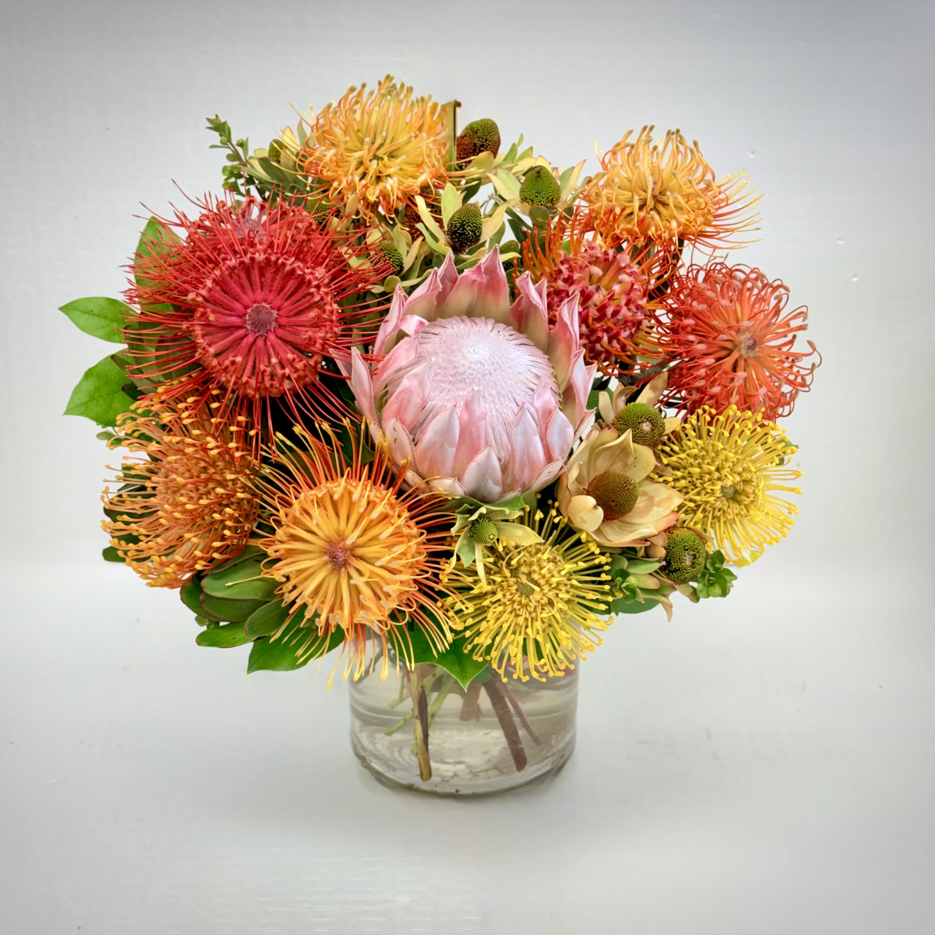 Tropical Sunset Protea - A bold and vibrant arrangement featuring striking protea and colorful pincushion blooms, designed to bring a warm, tropical touch to any space. Perfect for celebrations or making a lasting impression.