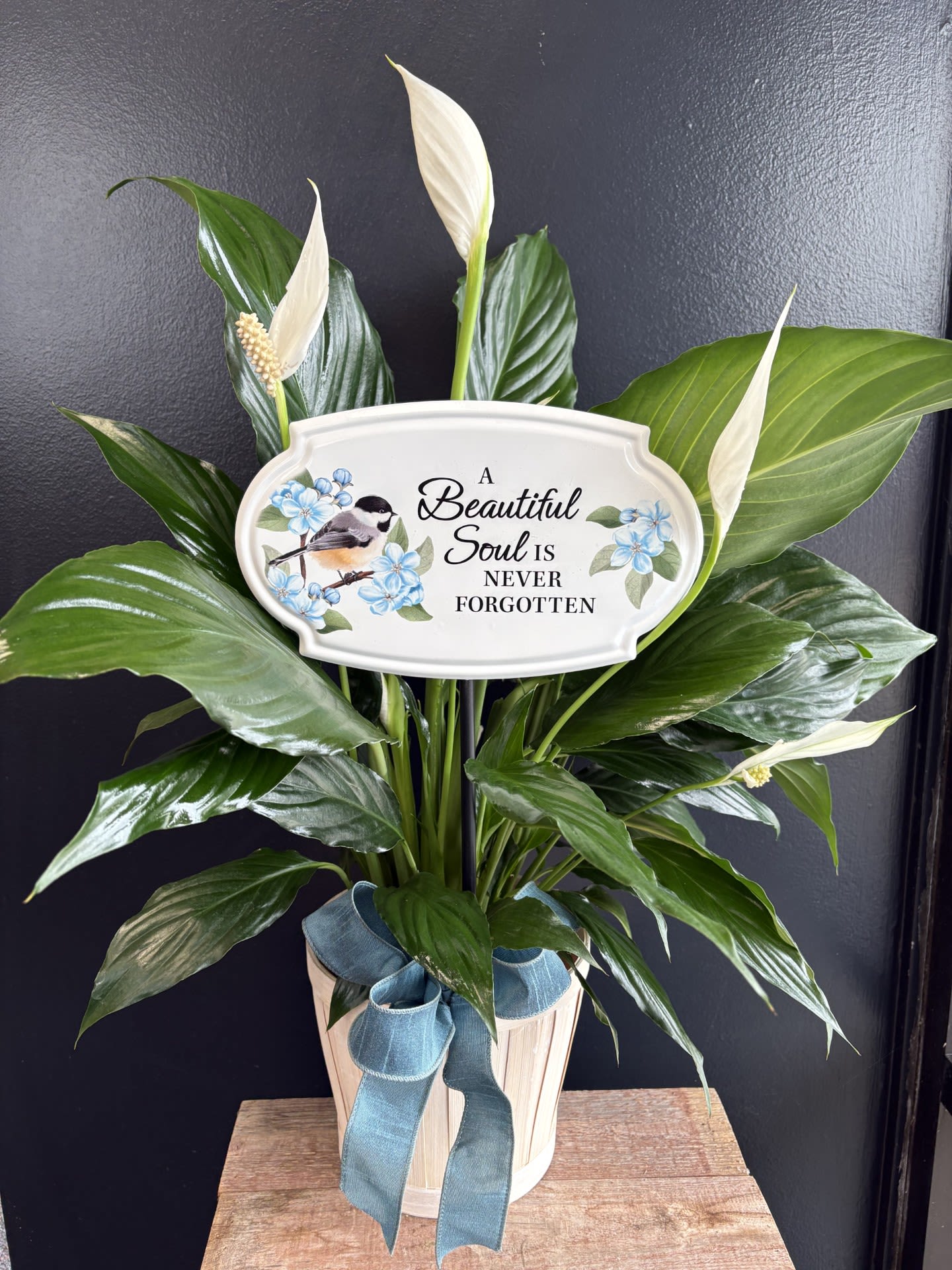 Elegant Peace Lily with garden stake in basket - "A Beautiful Soul" - A brilliant green spathiphyllum is delivered in a natural wicker basket with our weather friendly garden stake and bow. The dark leafy peace lily with its delicate white blossoms makes a simply elegant gift. There's nothing small about the sentiment delivered along with this pretty plant. Long live elegance!  Approximately 22" W x 29 1/2" H