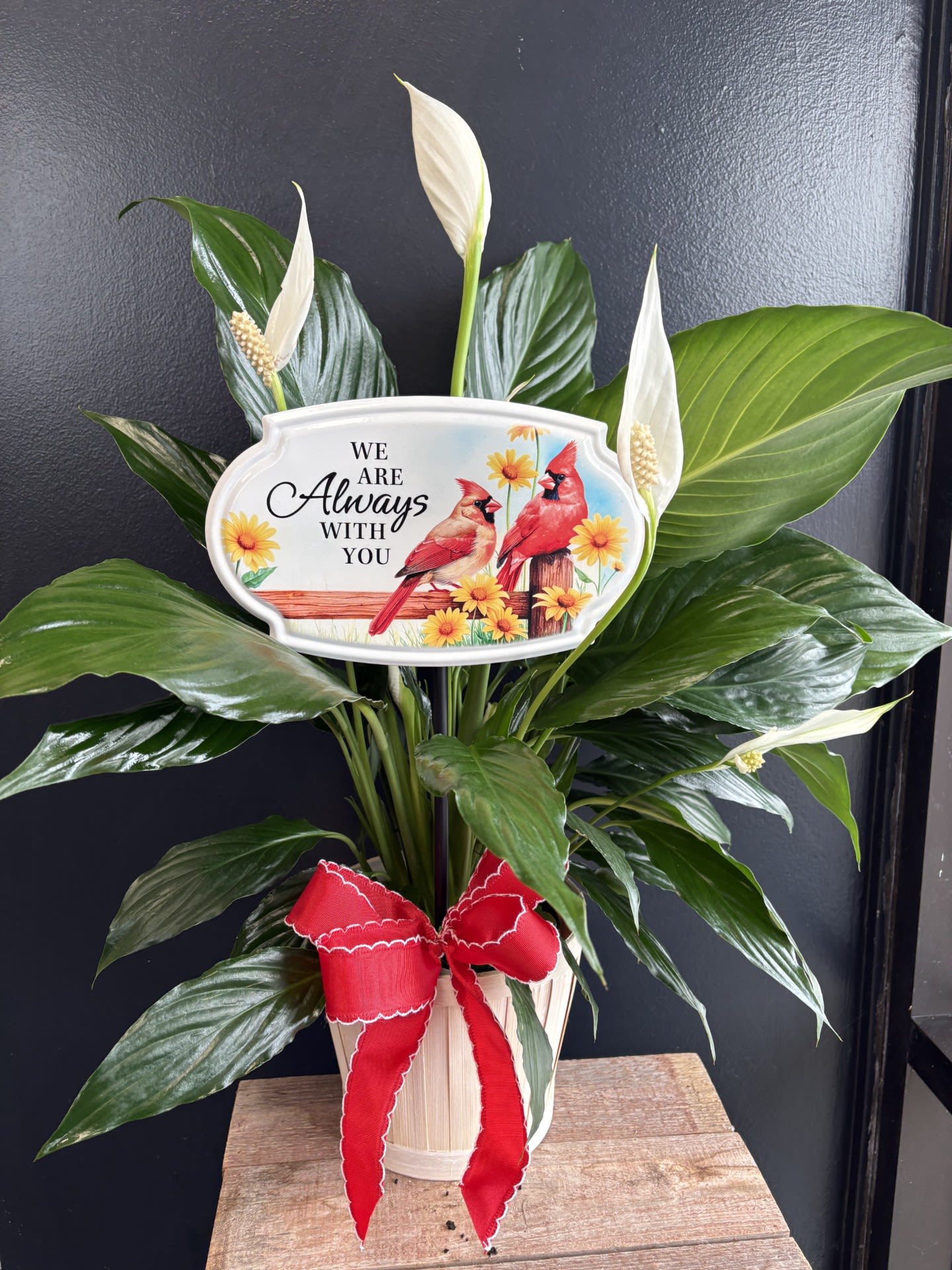 Elegant Peace Lily with garden stake in basket - "Always with you" - A brilliant green spathiphyllum is delivered in a natural wicker basket with our weather friendly garden stake and bow. The dark leafy peace lily with its delicate white blossoms makes a simply elegant gift. There's nothing small about the sentiment delivered along with this pretty plant. Long live elegance!  Approximately 22" W x 29 1/2" H