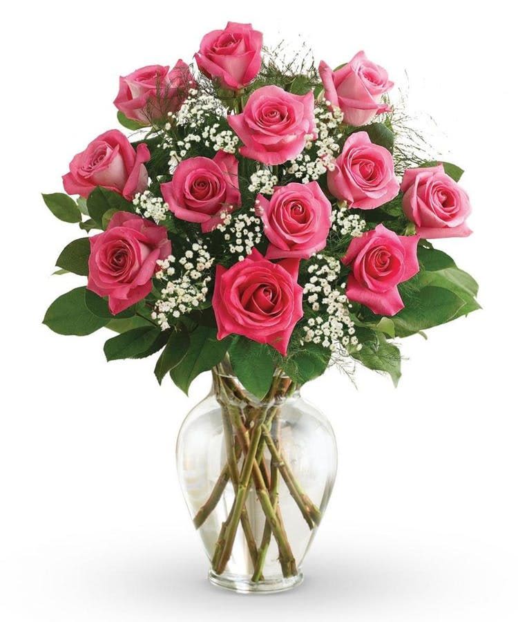 1 Dozen Hot Pink Roses - Choose from 12 stem, 18 stem or 24 stems of hot pink roses in a vase with filler and greenery