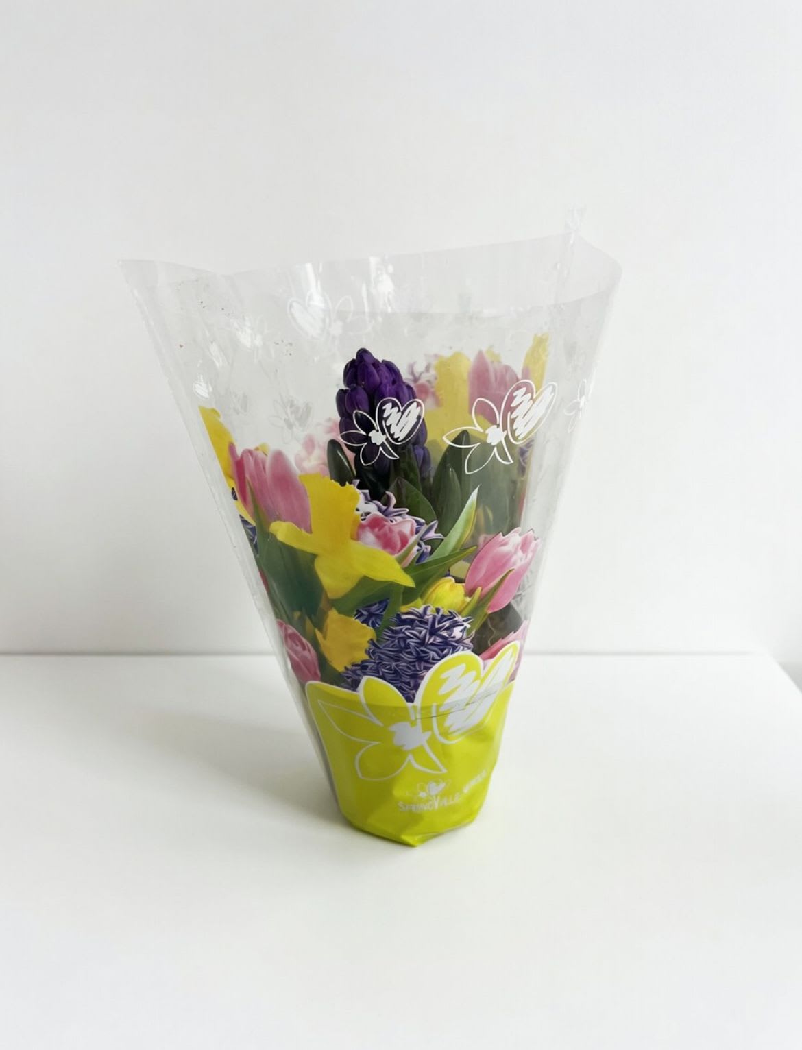 4" Hyacinth - A beautifully fragrant flower available in purple. This bulb is ready to bloom and fill your area with its signature scent. 