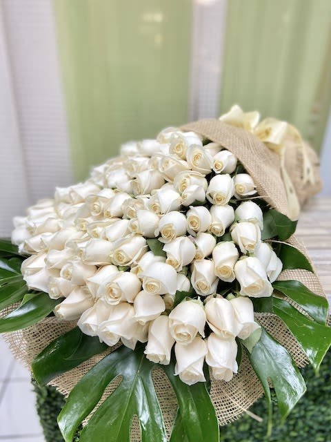 Large wrapped bouquet of tightly clustered white roses accented with broad glossy green leaves.