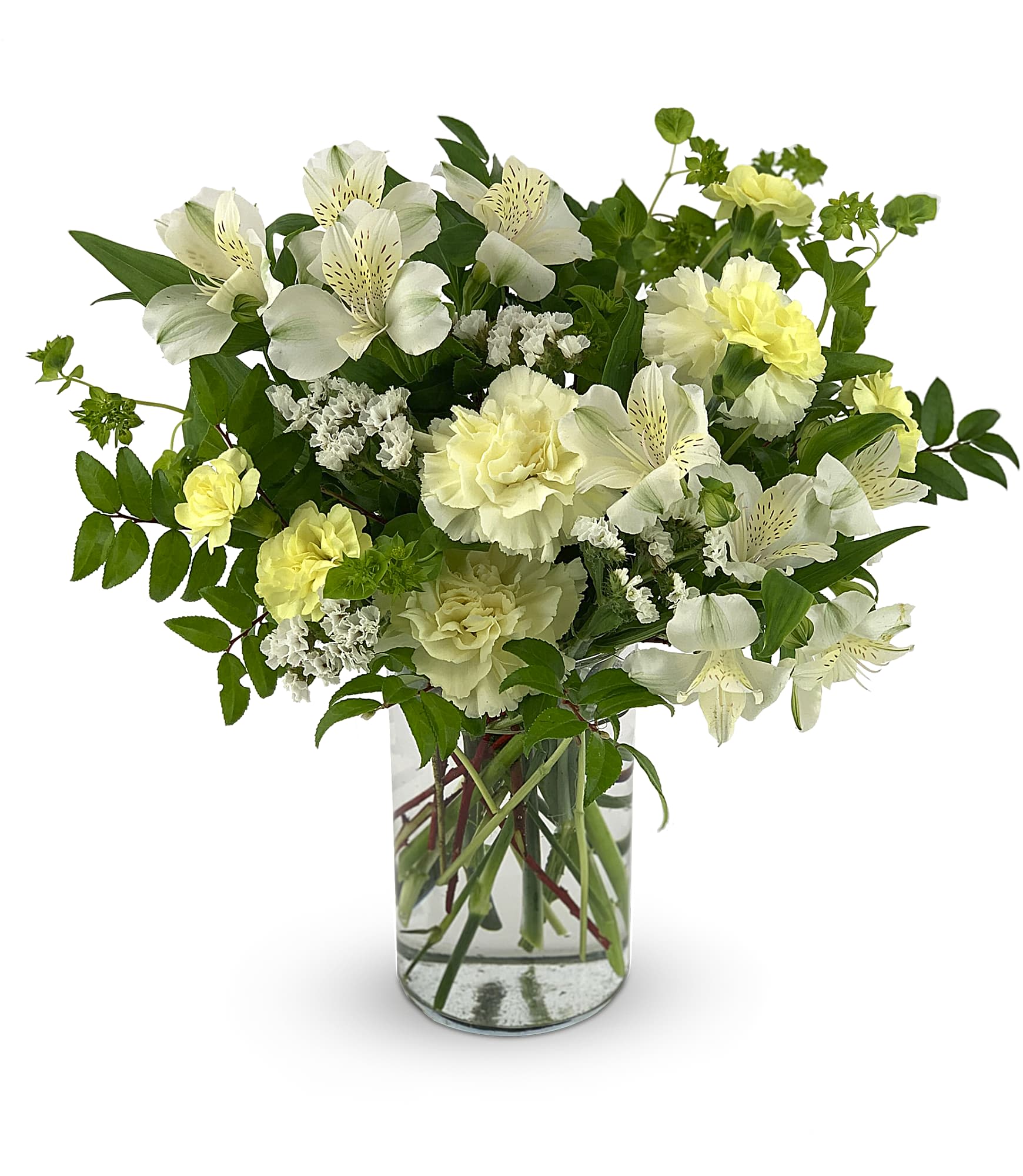 [FRESH FLOWER]Pet Friendly Angel Wings Bouquet - A thoughtfully designed arrangement made with pet-safe flowers, so you can enjoy fresh blooms at home with peace of mind. This bouquet features a soft palette of ivory, pale yellow, and fresh greenery, styled in a natural, airy garden design.  Each stem is carefully selected to be non-toxic to common household pets, making it a perfect choice for pet owners who don’t want to compromise on beauty or safety. The loose, organic style gives it a light and welcoming feel—ideal for everyday home décor or a thoughtful gift.  Details:  Flower types: Pet-friendly seasonal blooms (may include roses, carnations, alstroemeria, and safe greenery) Color palette: Ivory, soft yellow, and green Vase: Clear glass vase included Style: Garden-style, airy, and natural Size: Approx. 12"–16" H