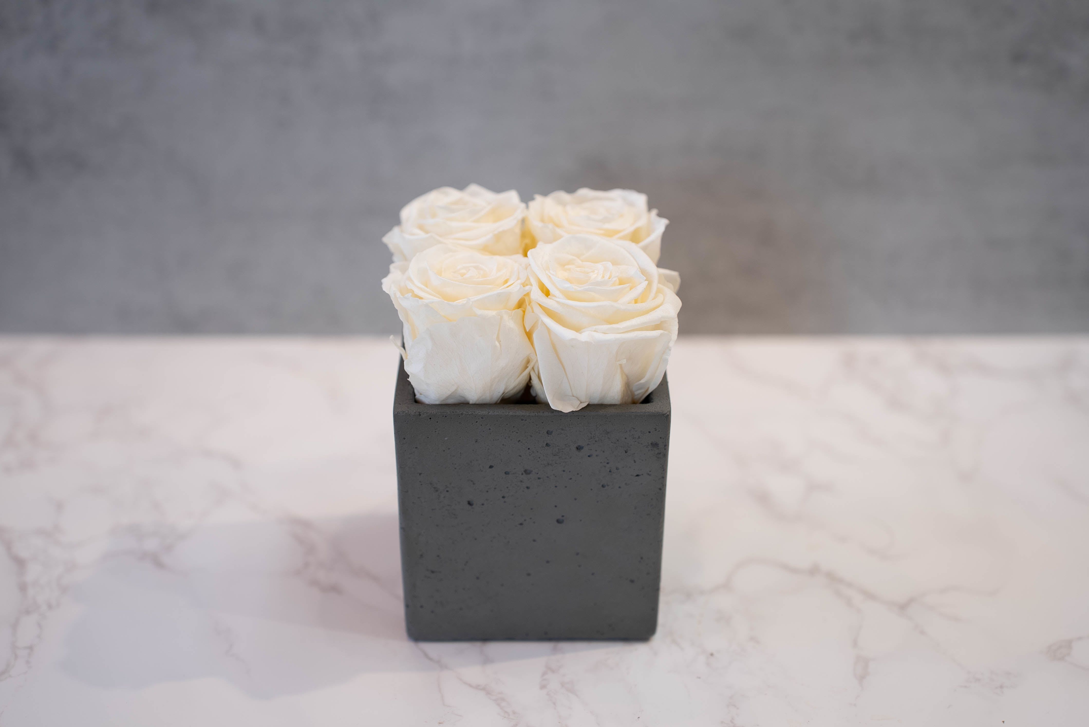 Cream Roses in Cement Cube - High end preserved roses, custom designed by hand in our local shop 