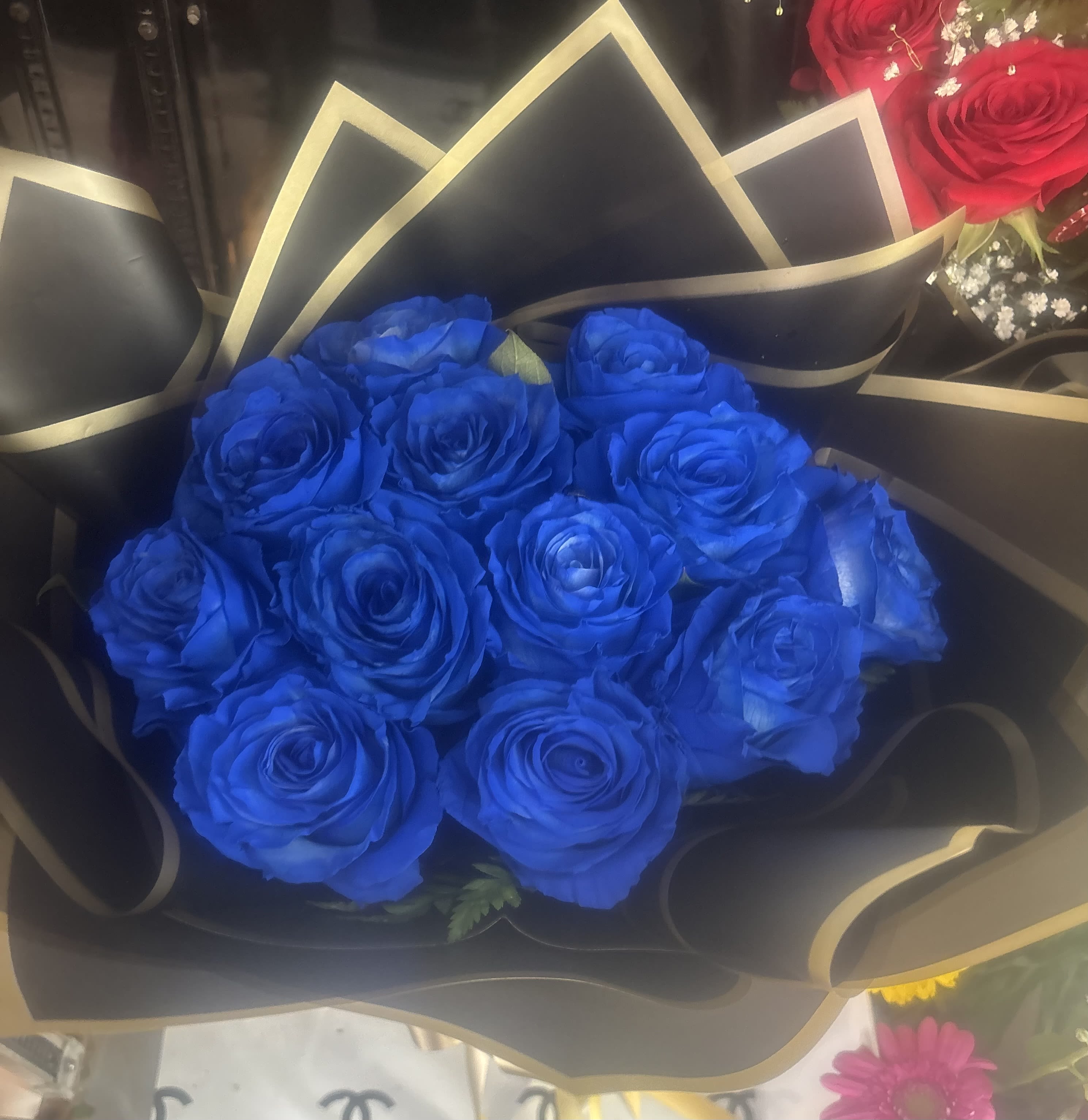 BLUE BOUQUET - DOZENA DE ROSAS AZULES/DOZEN BLUE ROSES