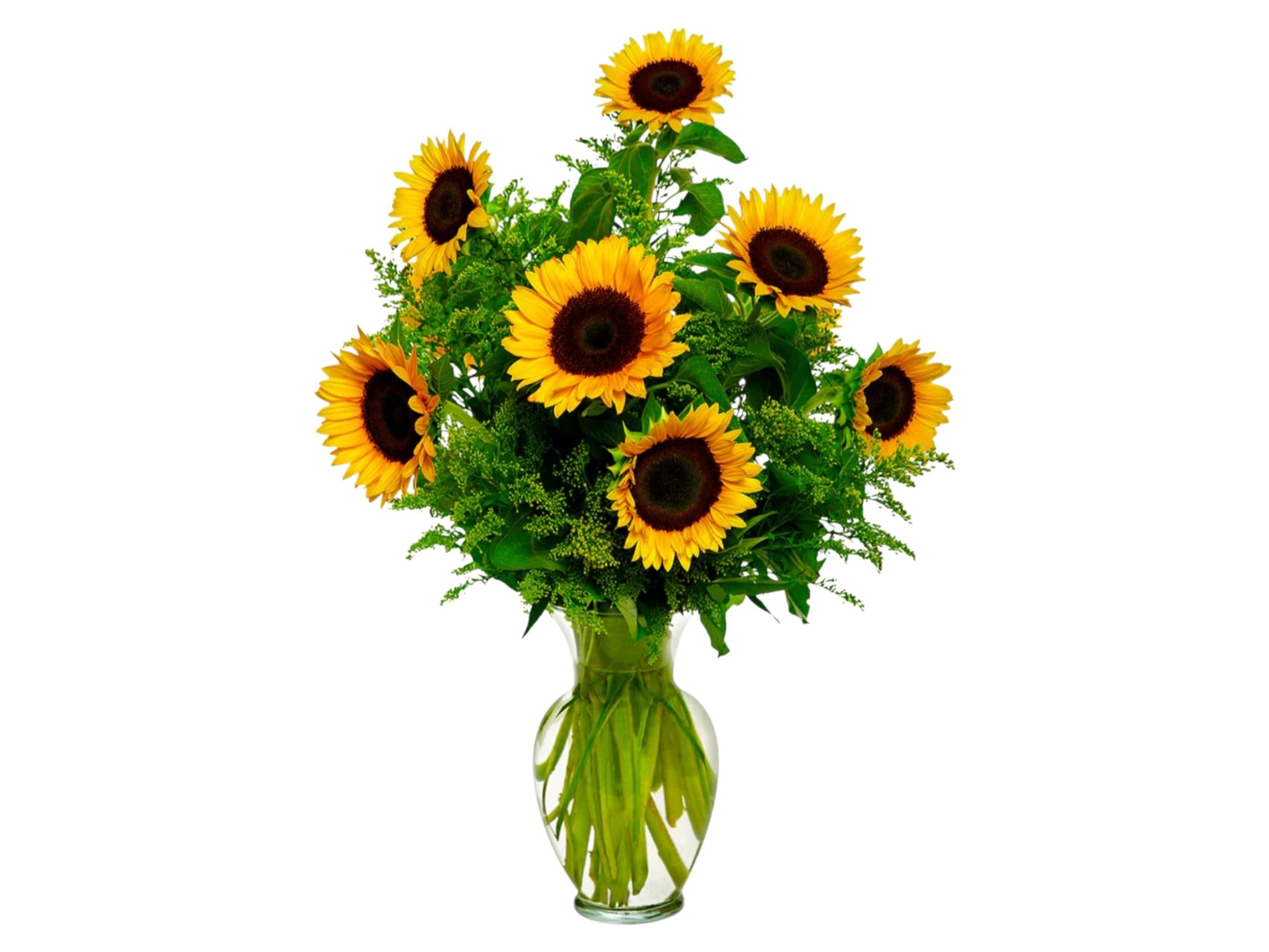 Sunshine Joy - Perfect bright happy yellow sunflowers, perfect for Valentine's Day.