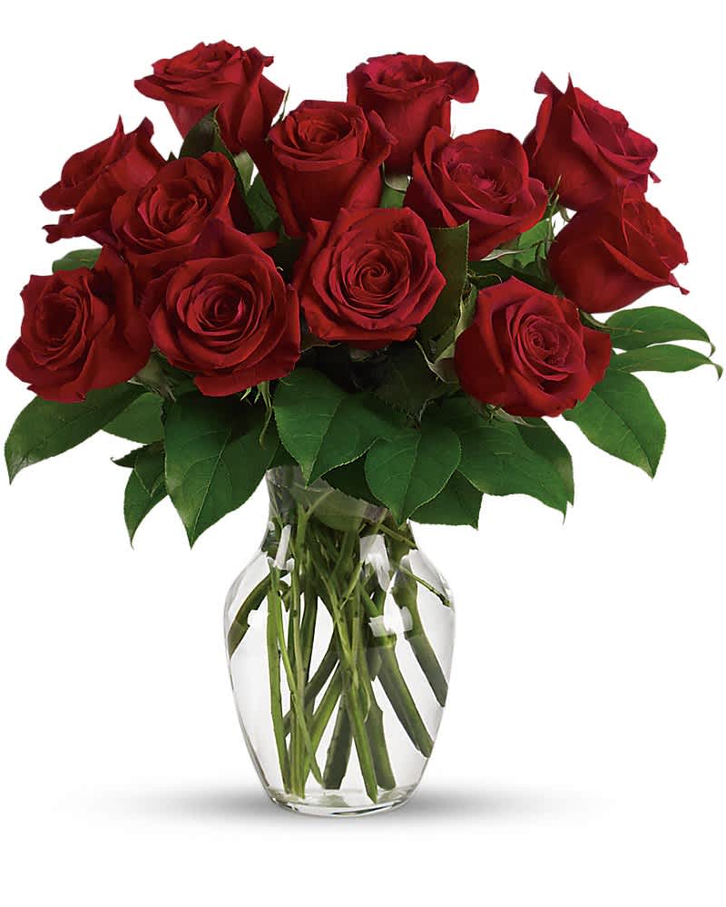 Dozen red roses arranged in a clear glass vase with visible stems in water