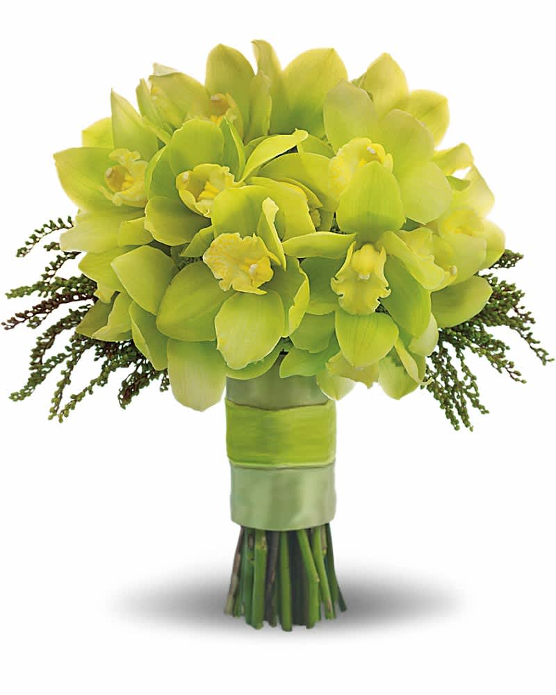 Hand-tied bouquet of green cymbidium orchids wrapped with green ribbon