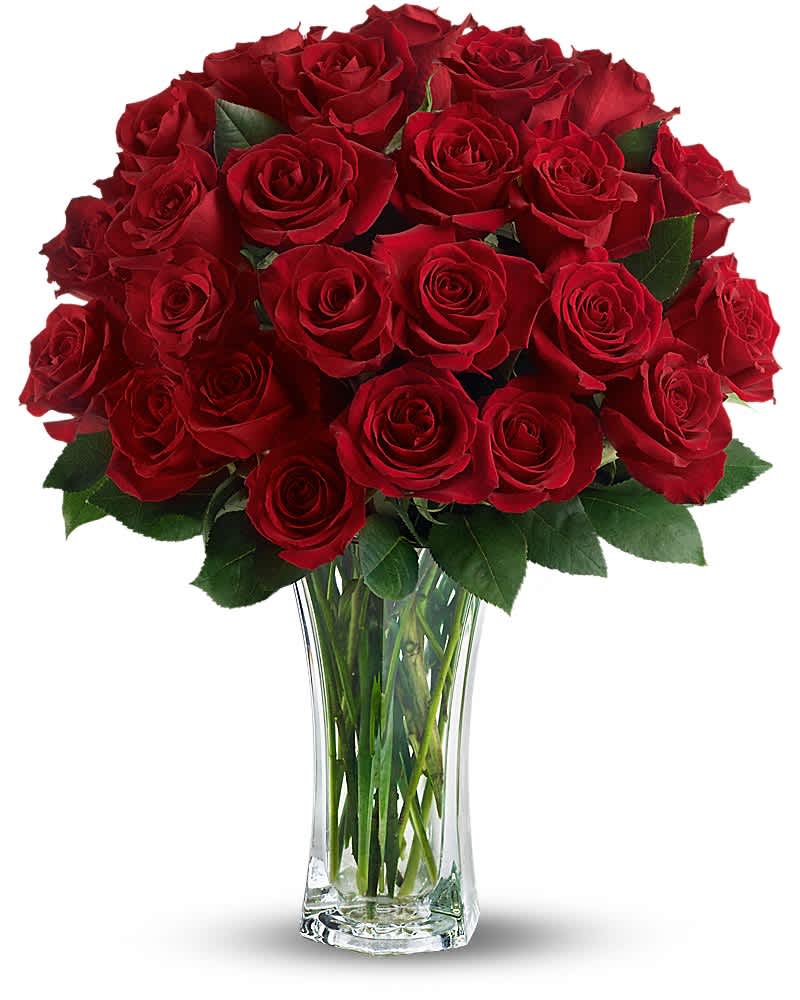 Large bouquet of red roses arranged in a tall clear glass vase