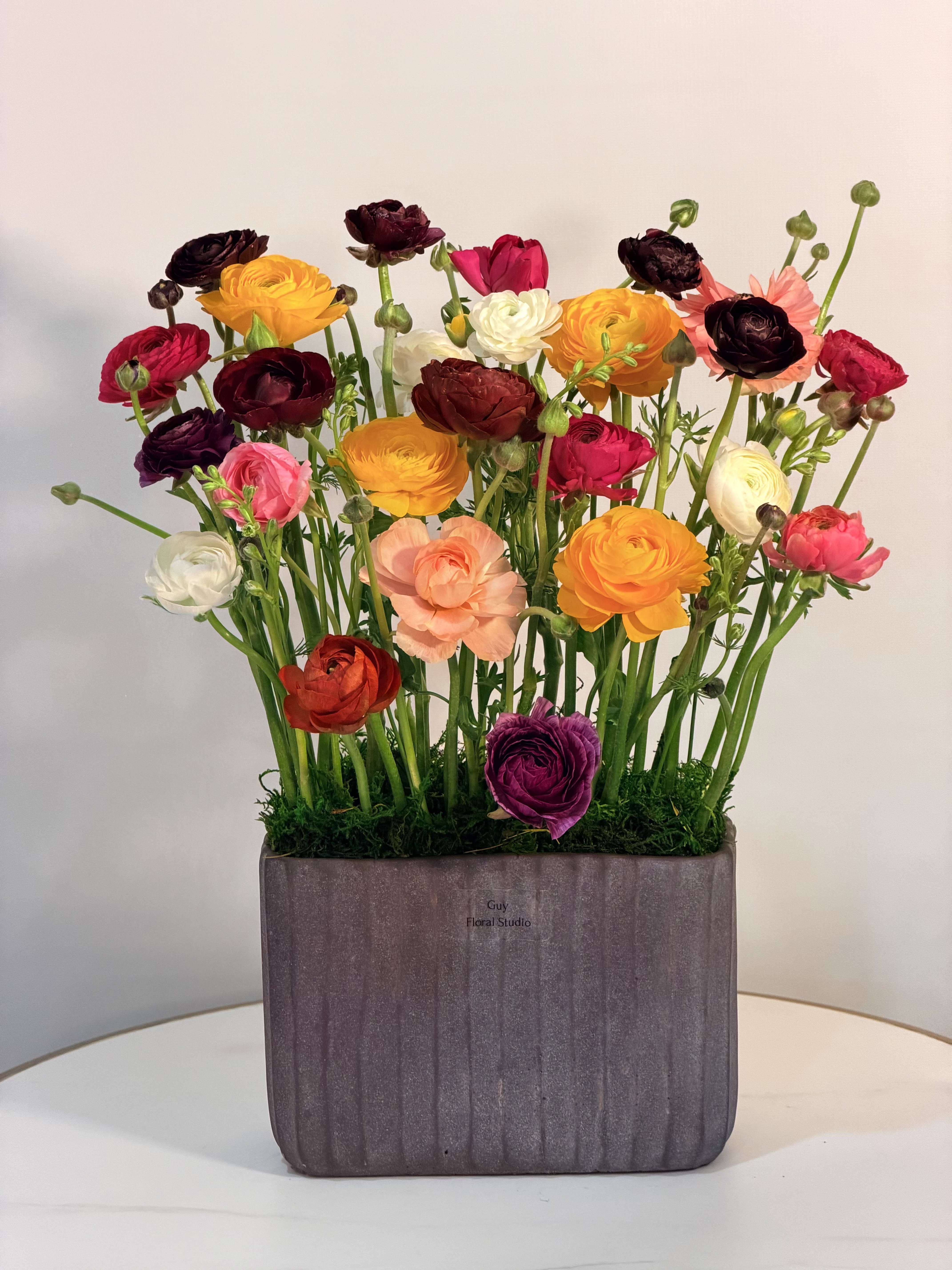 Color Garden - A lively and eye catching arrangement featuring a beautiful mix of colorful ranunculus in rich tones of red, pink, yellow, peach, and white. Designed in a modern ceramic planter and accented with natural moss, this arrangement brings a fresh garden feel with a bold, contemporary twist. Each bloom stands tall and elegant, creating movement, texture, and a joyful energy that instantly brightens any space. Perfect for birthdays, celebrations, or simply adding color and happiness to your home. Handcrafted with premium fresh flowers to ensure long lasting beauty and a stunning presentation. Same-Day Flower Delivery Available across Beverly Hills, Bel-Air, West Hollywood, Beverly Grove, Santa Monica, Culver City, Hollywood Hills, Hollywood, Studio City, Encino, and Sherman Oaks.