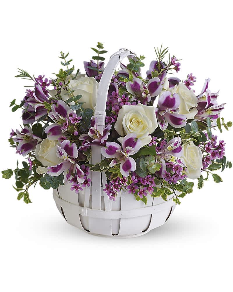 Low basket arrangement of white roses and purple alstroemeria in a white handled basket