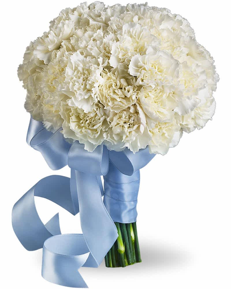 Hand-tied bouquet of white carnations with stems wrapped in light blue satin ribbon and bow