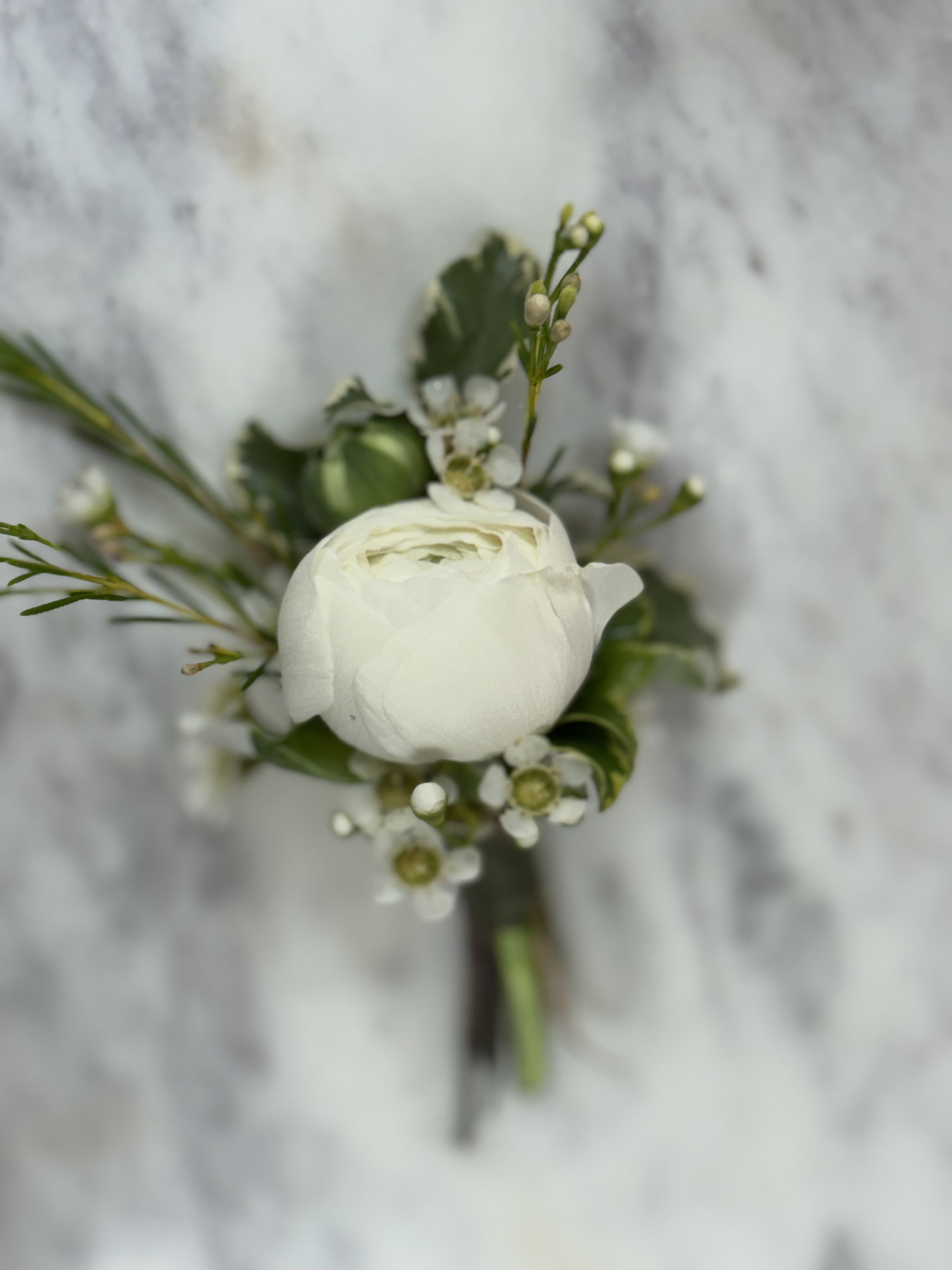 White ranunculus boutonniere  - Bb