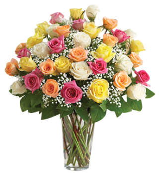 Merci  -  24 assorted roses SUBSTITUTION POLICY: In some instances, our photo may represent an overall theme and includes a one-of-a-kind vase which cannot be exactly replicated. Although the actual arrangement may not precisely match the photo, it will be as close as possible. Occasionally, substitutions of flowers and/or containers happen due to weather, seasonality, and stock availability.  If any design elements are of major importance to your order, please include them in the florist instructions at checkout our contact us to ensure availability.