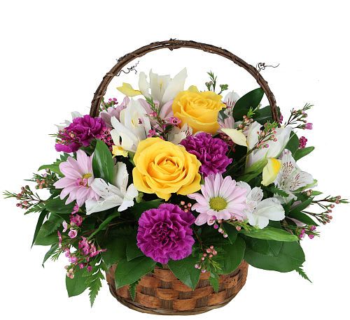 Garden Delight Basket  -  A Joyful Burst of Color &amp; Freshness – This charming basket arrangement features radiant yellow roses, deep purple carnations, soft pink daisies, and elegant white lilies, creating a vibrant and uplifting floral masterpiece.   Symbol of Happiness &amp; Warmth – Yellow roses represent friendship and positivity, while purple carnations symbolize admiration, making this bouquet a perfect gift for celebrations, get-well wishes, or simply to brighten someone's day.   Handcrafted in a Rustic Basket – The woven handle and natural basket add a warm, country-chic touch, making this bouquet a beautiful centerpiece or heartfelt gift.   Ideal for Any Occasion – Whether it’s Mother’s Day, birthdays, thank-you gestures, or housewarmings, the Garden Delight Basket is a thoughtful and stunning surprise.