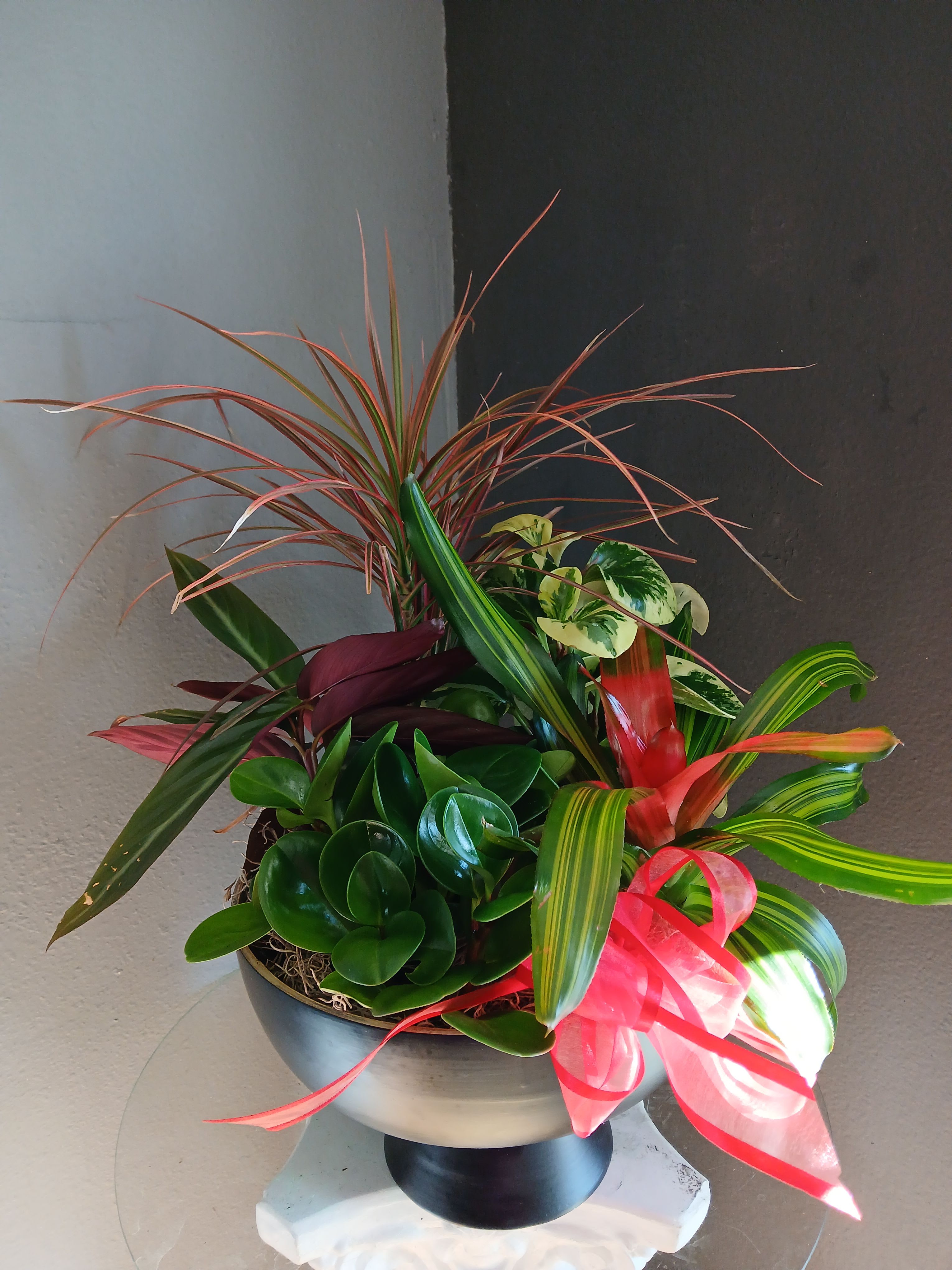 Tropical foliage plant arrangement in a silver pedestal bowl with red accents and ribbon