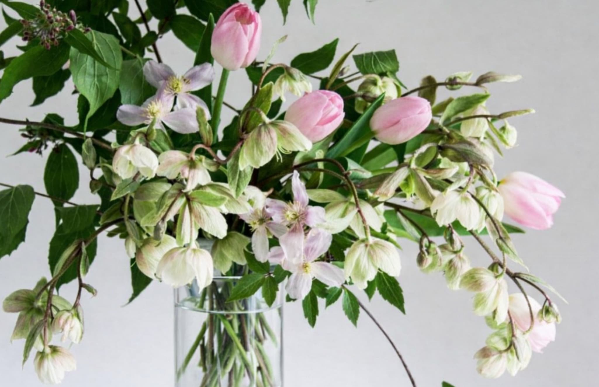 A Little Finesse - Perfect for intimate moments, small gestures, or adding a hint of charm to any space, A Little Finesse offers just enough sophistication to feel special