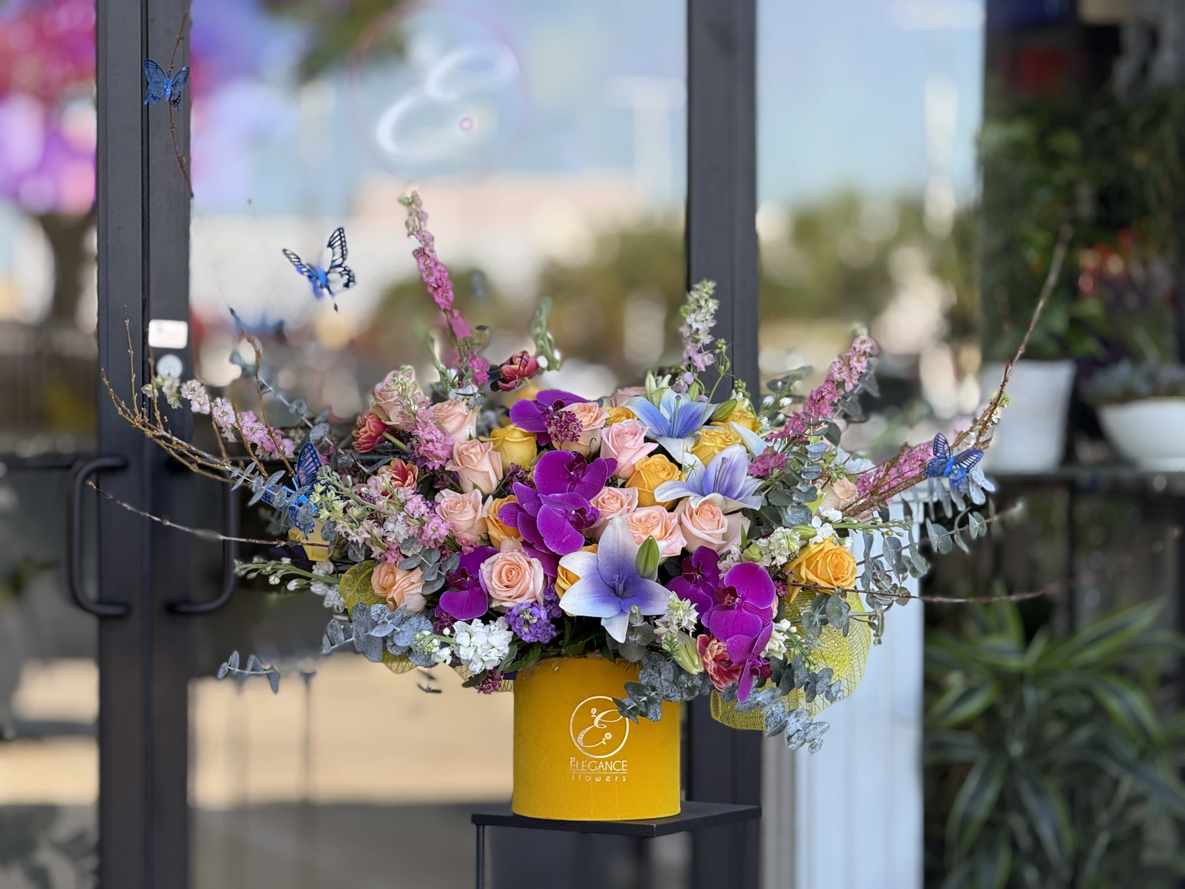 Box Arrangement #34 - N/A