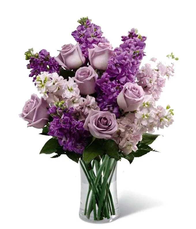 Lavender Whisper - A graceful blend of soft lavender roses, rich purple stock, and delicate blush blooms gathered in a clear glass vase. This elegant arrangement is full of romantic garden charm, with layered shades of lilac, plum, and pale pink creating a timeless look. Perfect for birthdays, anniversaries, sympathy, or simply brightening someone’s day with a touch of spring beauty.