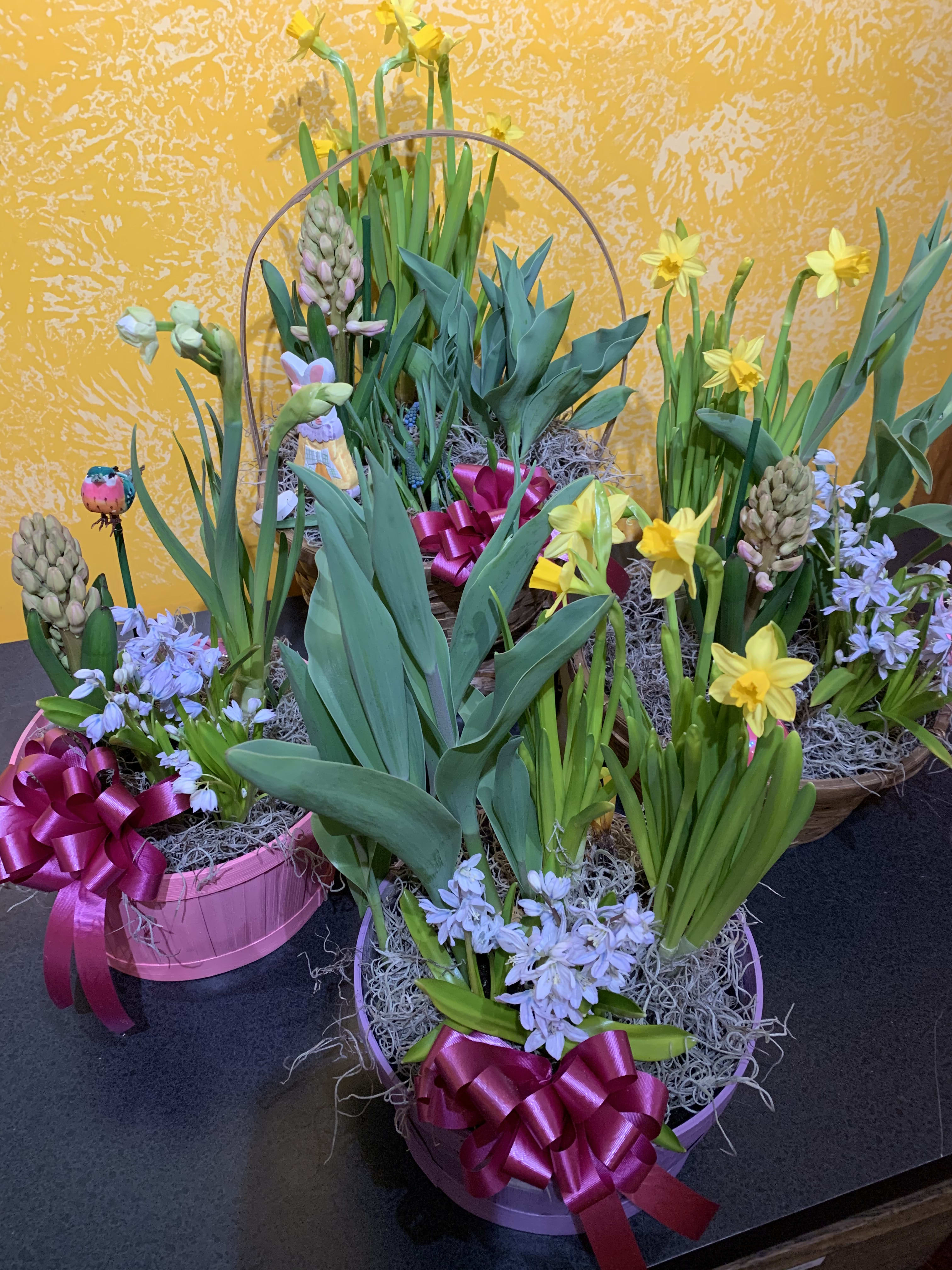 Mixed bulb garden basket - Assorted bulb plants such as tulips, lilies, daffodils, crocus, etc. fully decorated for Easter!  