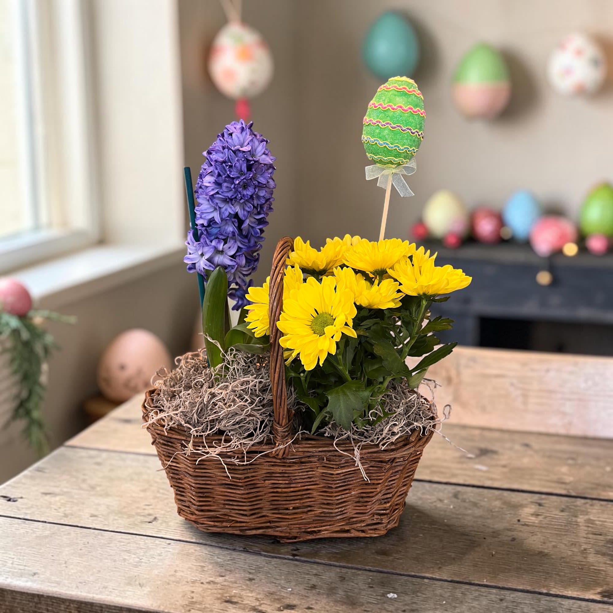 Spring Duo Basket - These cute basket arrangements are an eggsplosion of color in a tiny package with two live plants in each decorative basket.