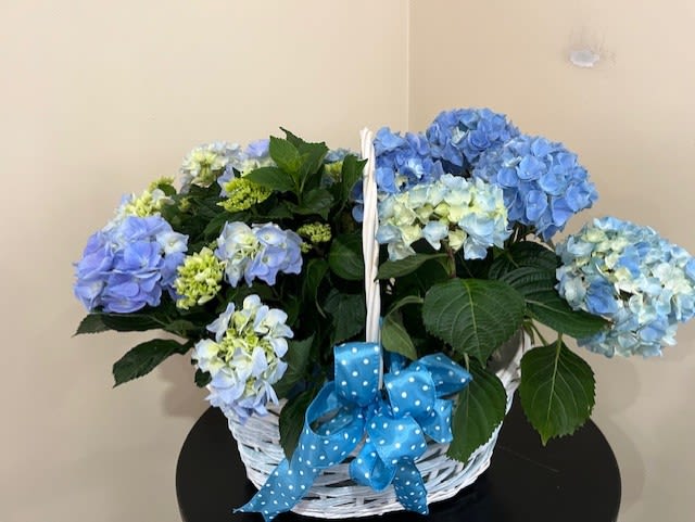 Spring Baskets - Mixed green and flower plants in a woven basket.
