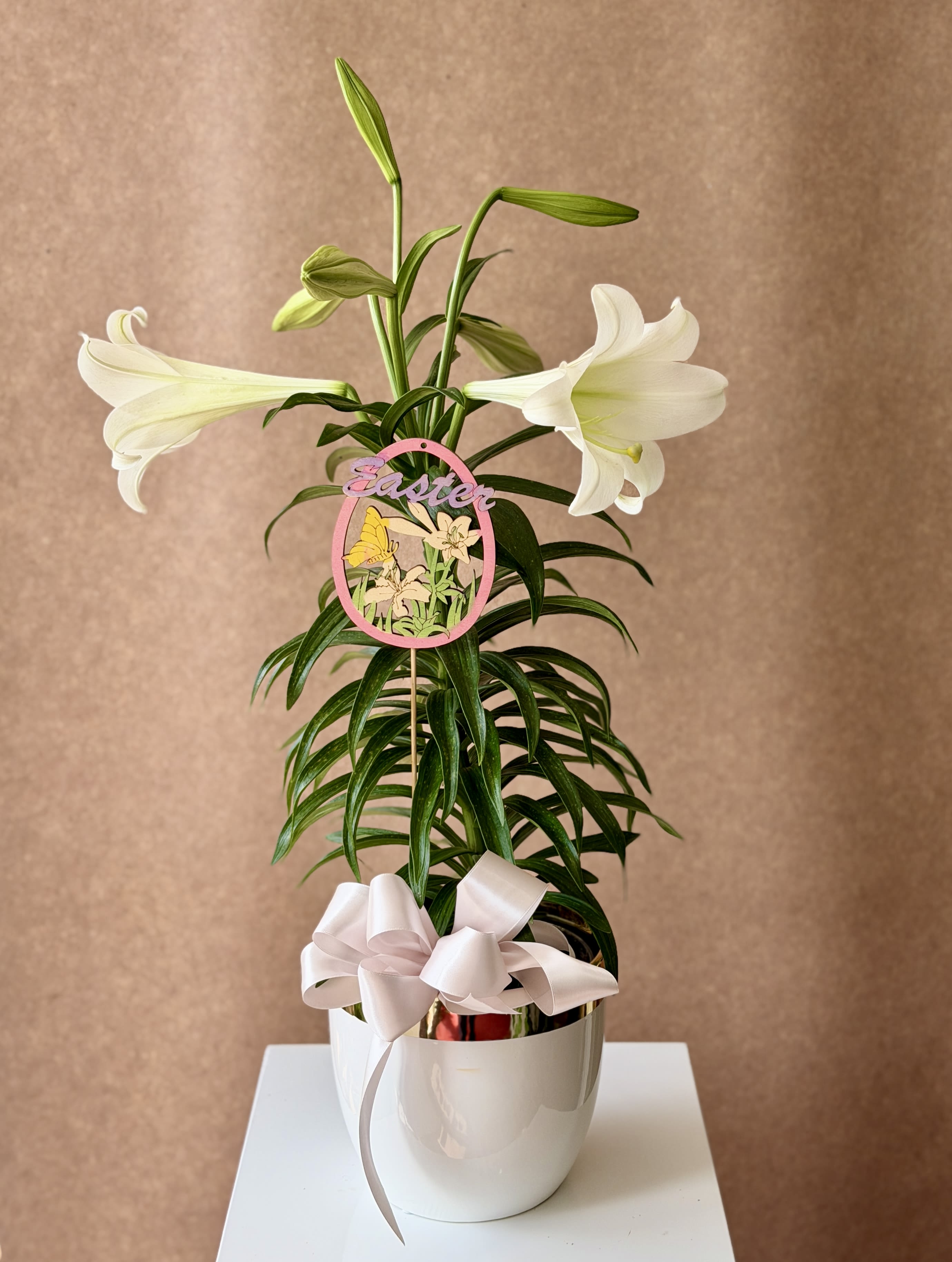 Lily - Easter Lily in a ceramic pot