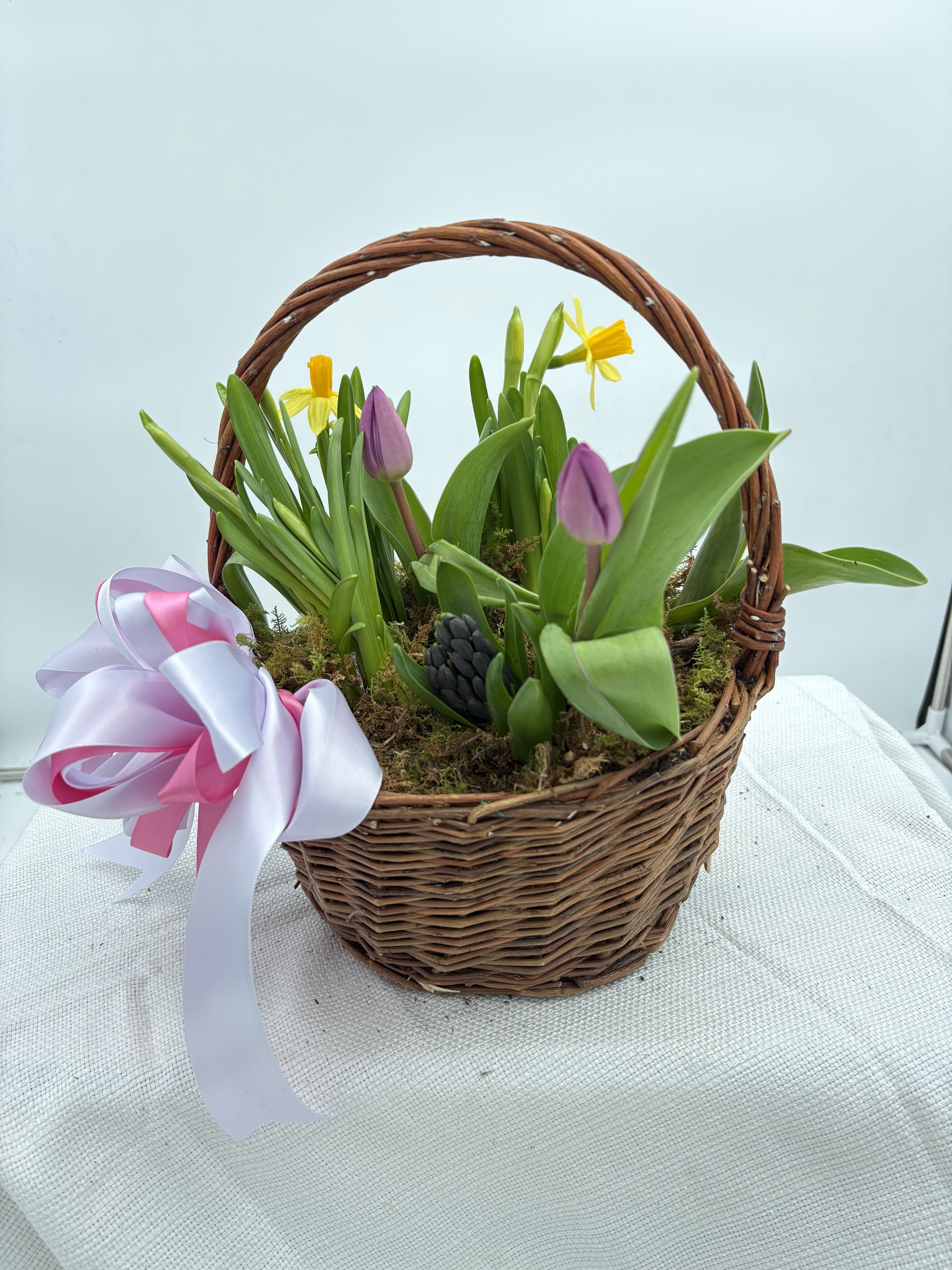 Blooming Spring Plant Basket - This plant basket comes with a variety of spring blooms such as daffodil, Hyacinth and tulips.
