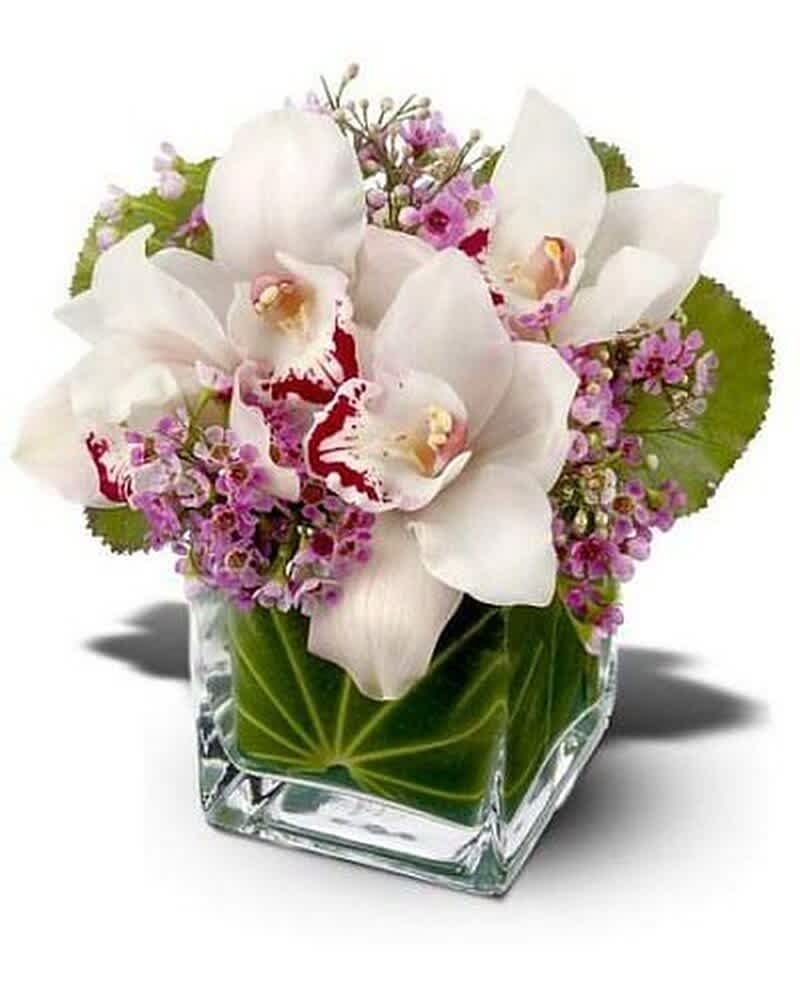 Short arrangement of white cymbidium orchids and pink blooms in a square glass vase lined with green leaves