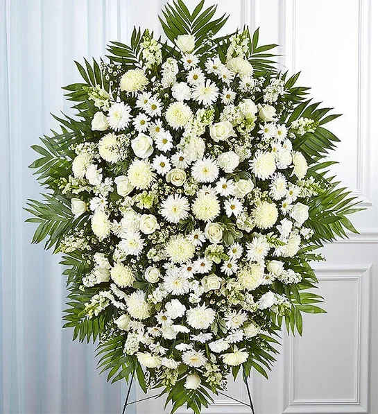 White Funeral Standing Spray - All-white standing spray arrangement with roses, football mums, ceremonies, stock, snapdragons, carnations, daisy poms and monte casino; accented with soft, lush greenery Large measures approximately 56"H x 38"L without stand Medium measures approximately 46"H x 34"L without stand Arrives on an easel Appropriate for the funeral home or gravesite Our florists hand-design each arrangement, so varieties may vary due to local availability