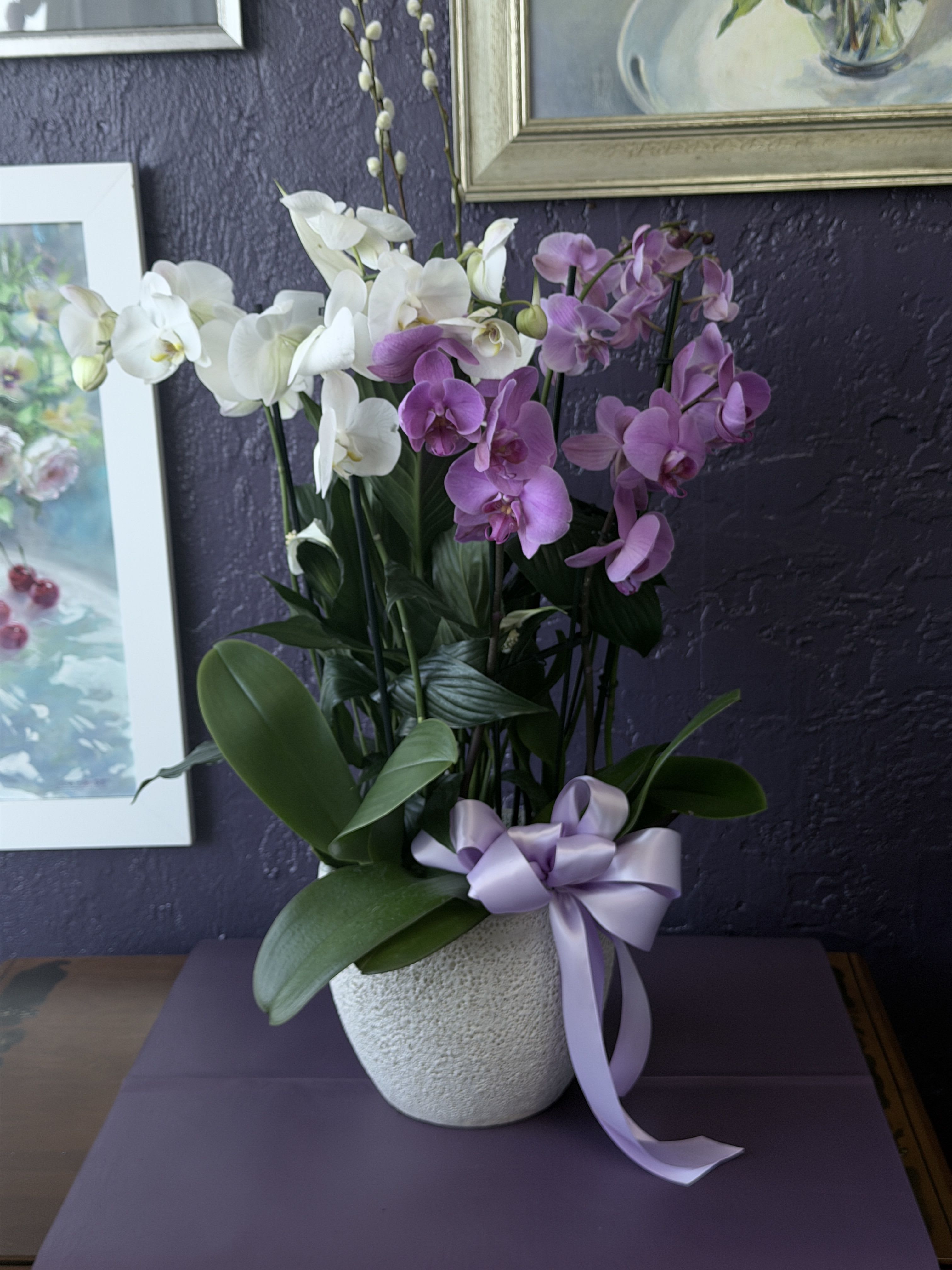 Orchid Splendor  - A beautiful and classic orchids Arrangment  with other green plant make it look full and lushy.  Perfect for all occasions, bring it as a housewarming gift, a birthday, or anything in-between.