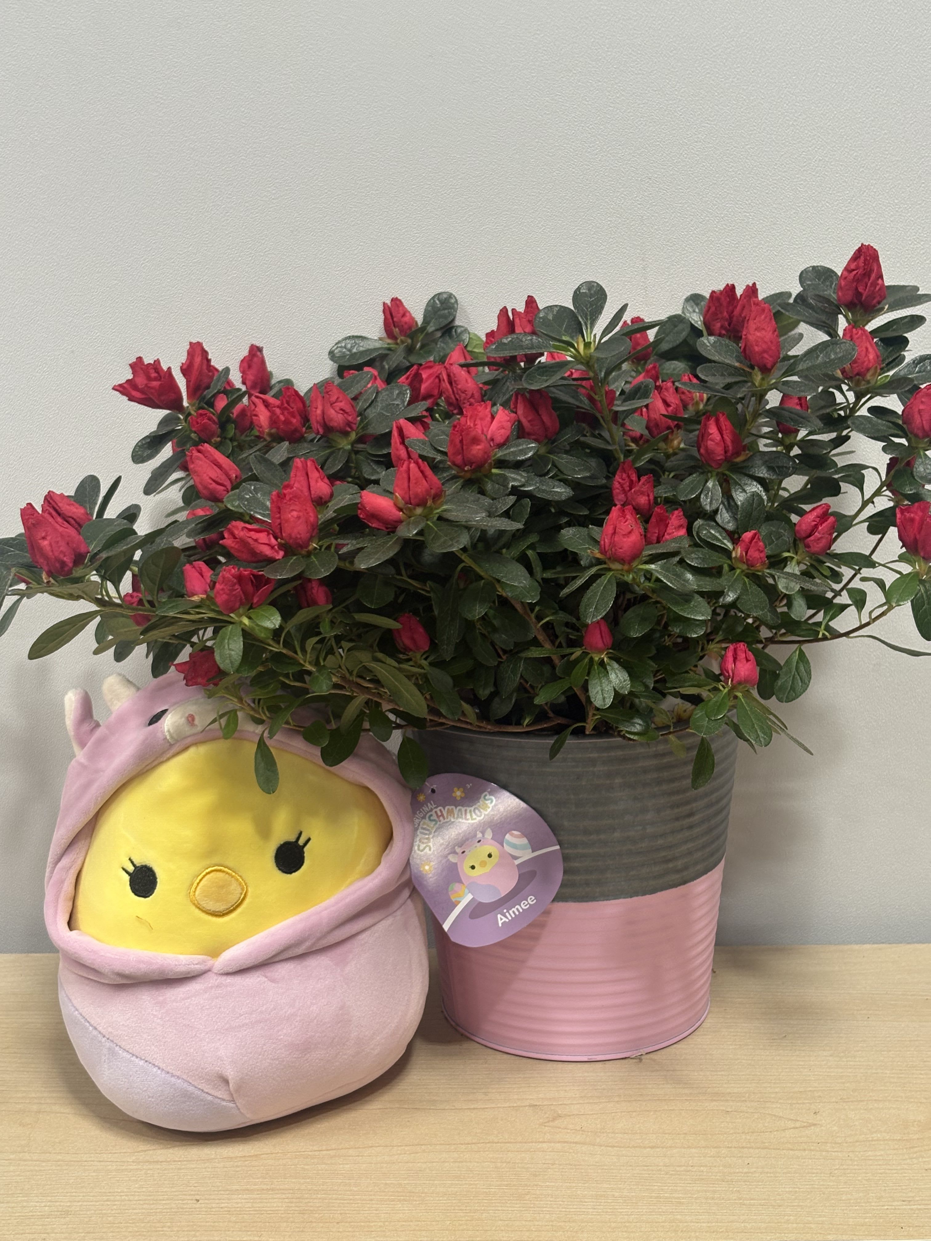 Azalea &amp; Easter Chickie - As shown 