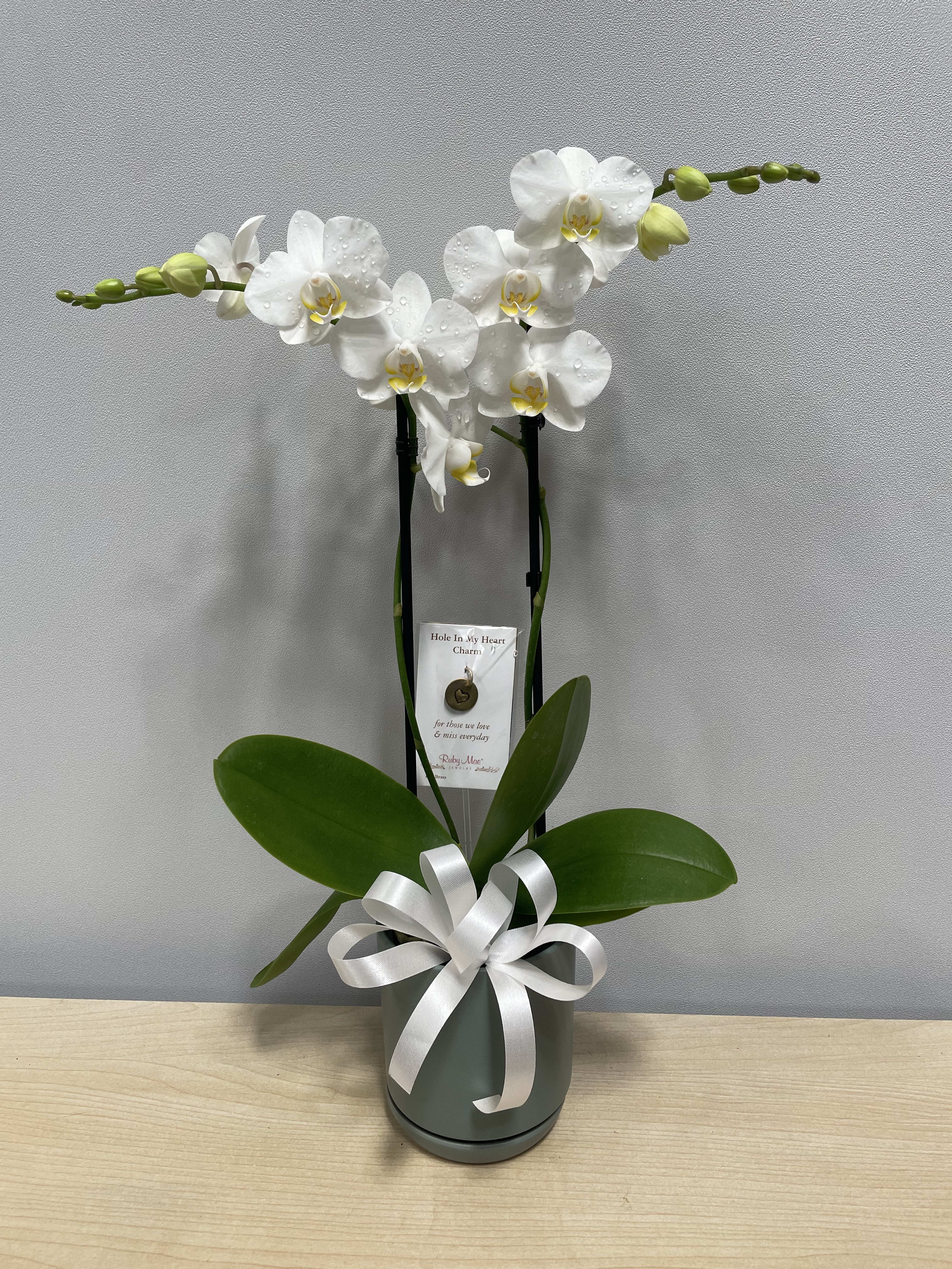 ‘Hole in My Heart” Orchid Plant - As shown w/ charm included