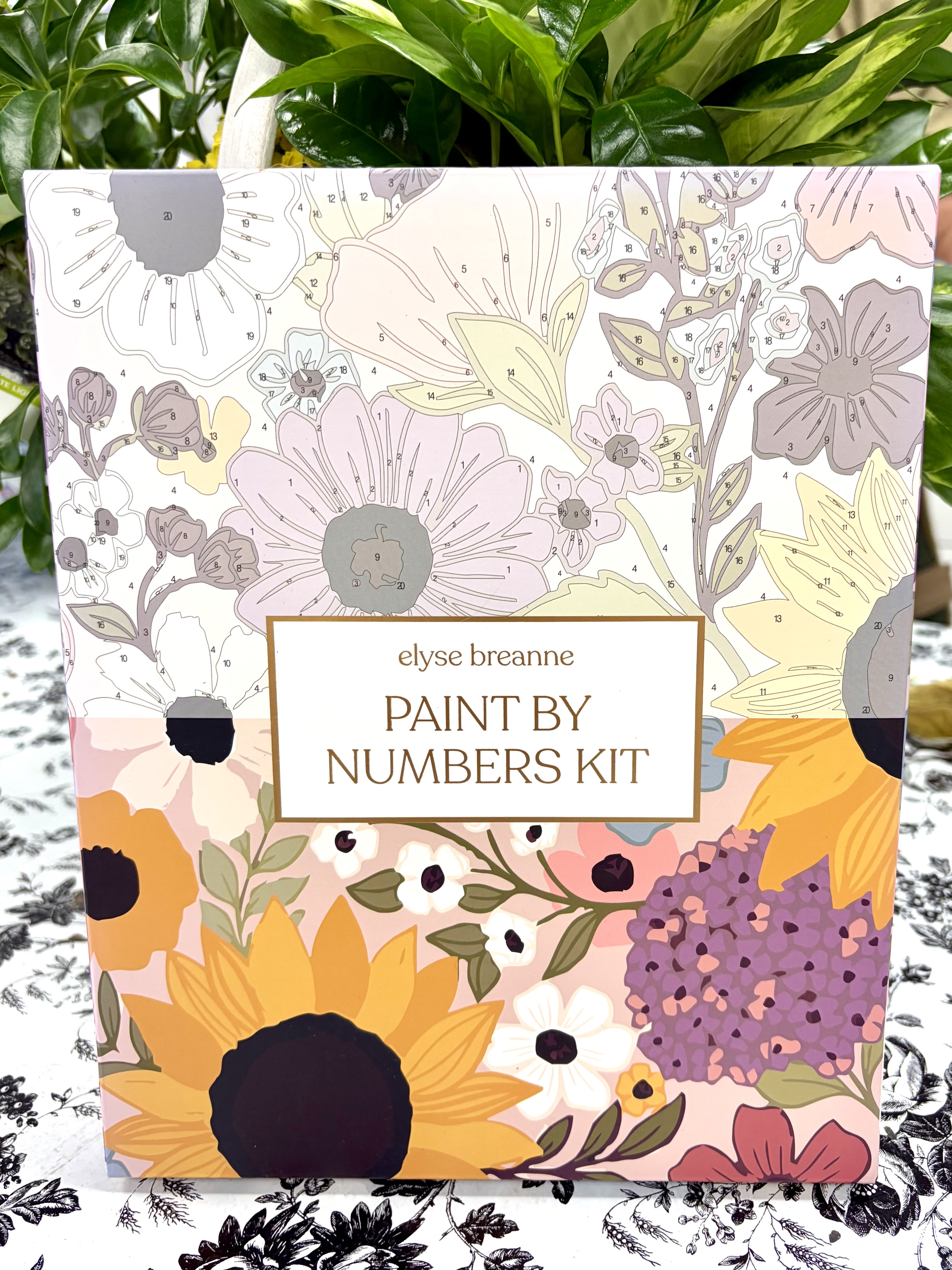 Paint-by-numbers kit box with floral artwork
