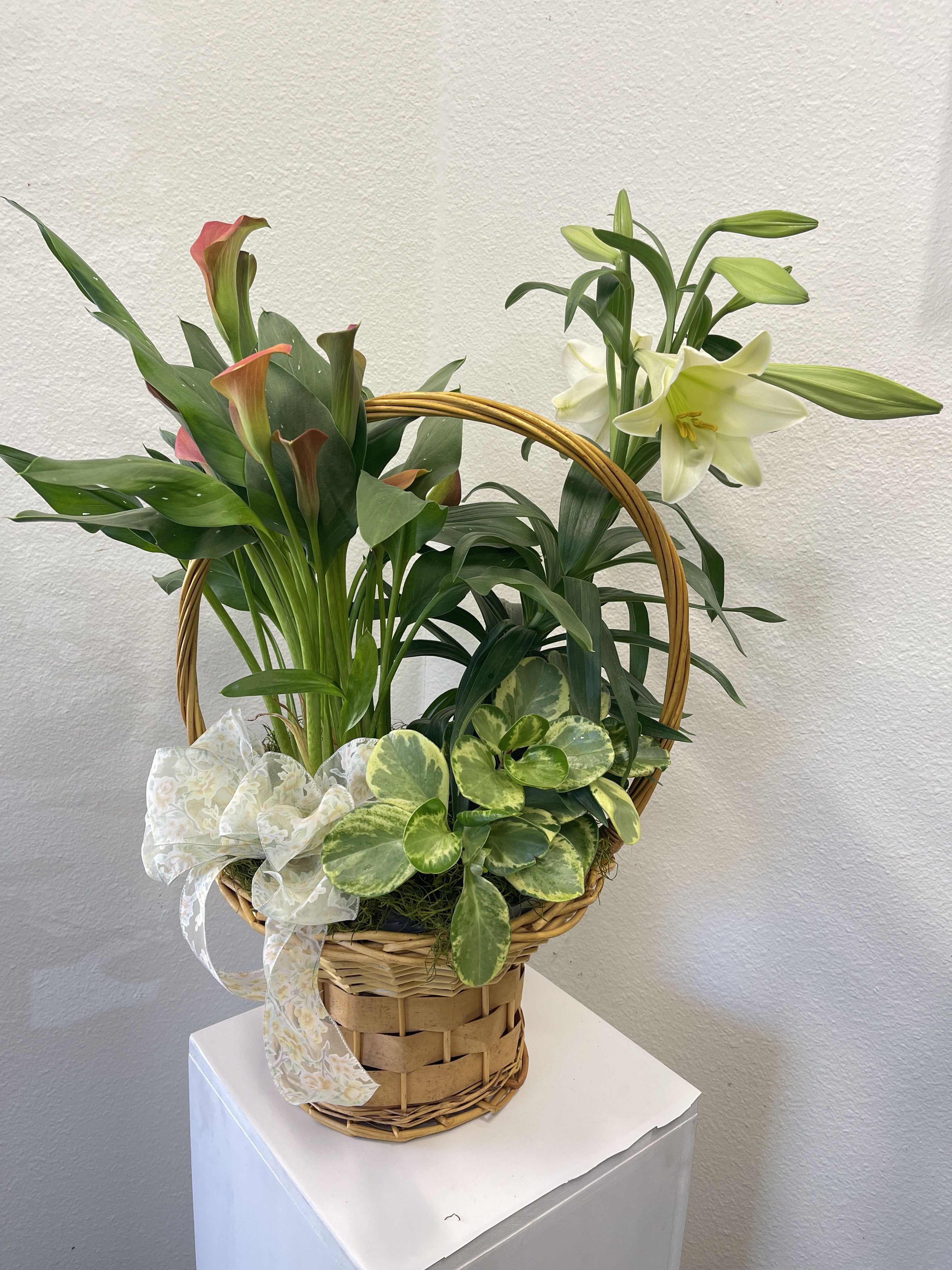 Easter Basket - Beautiful Spring Plants