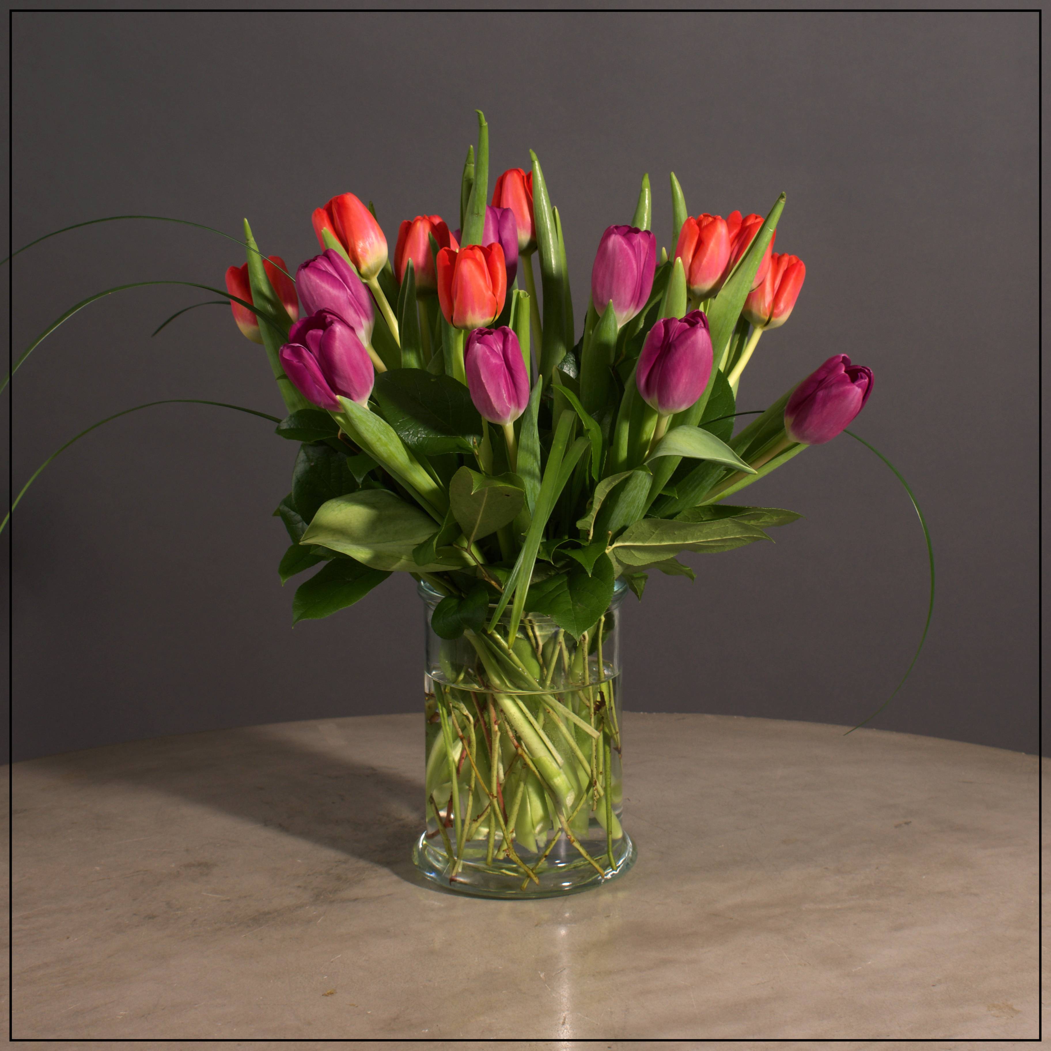 Springy Tulips - Simply Tulips in a Glass Vase. Colors will vary.  Approximately 15" H x 17" W