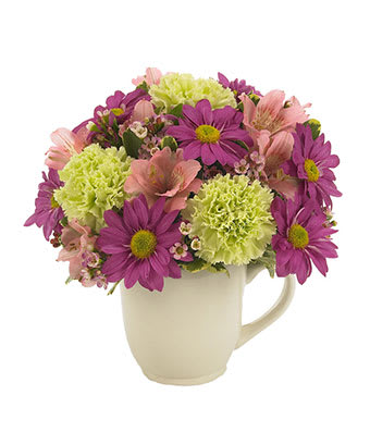 Compact mix of purple daisies, green carnations, and pink blooms arranged in a white mug