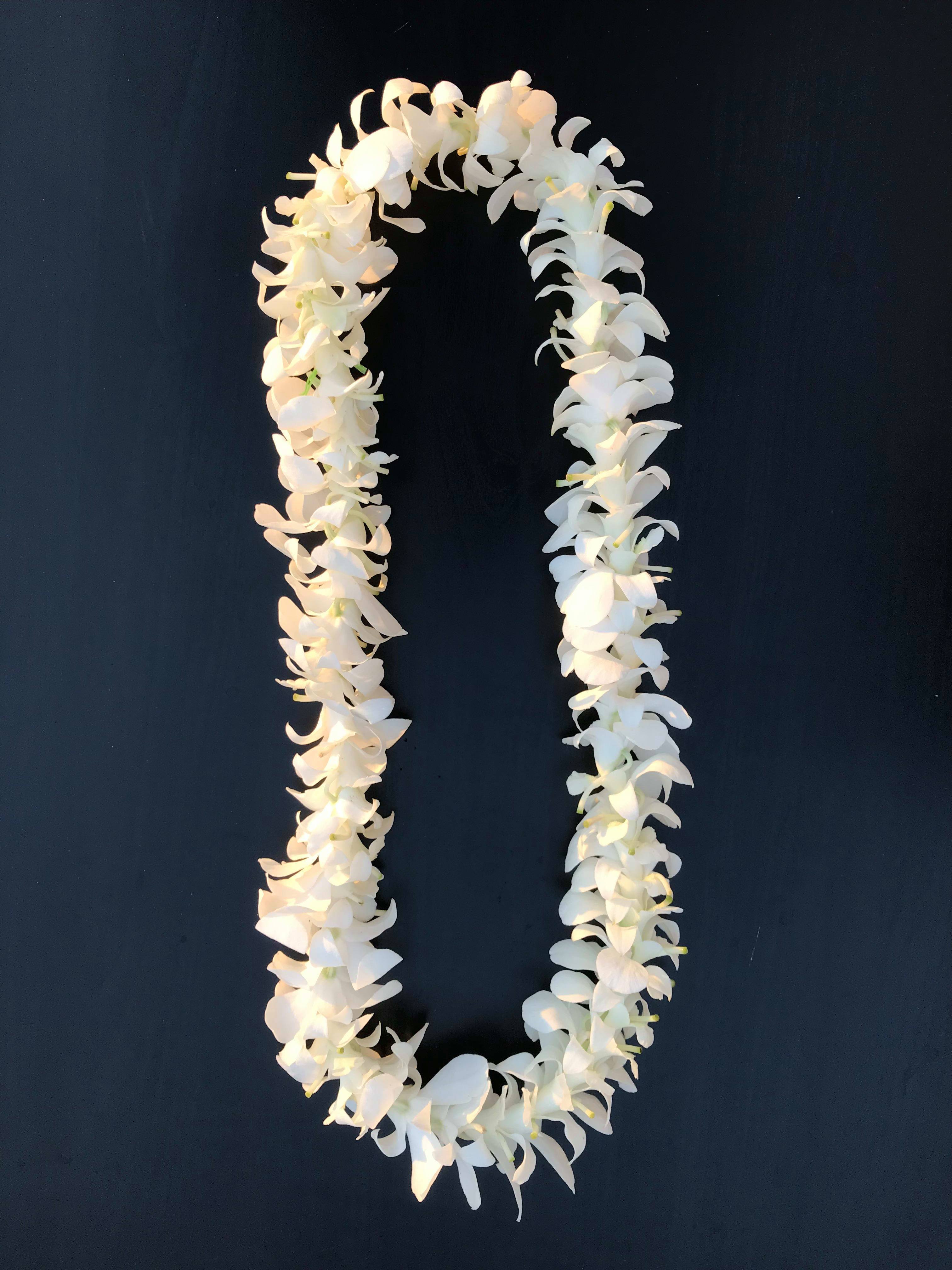 White orchid flower lei arranged in a loop on a dark background