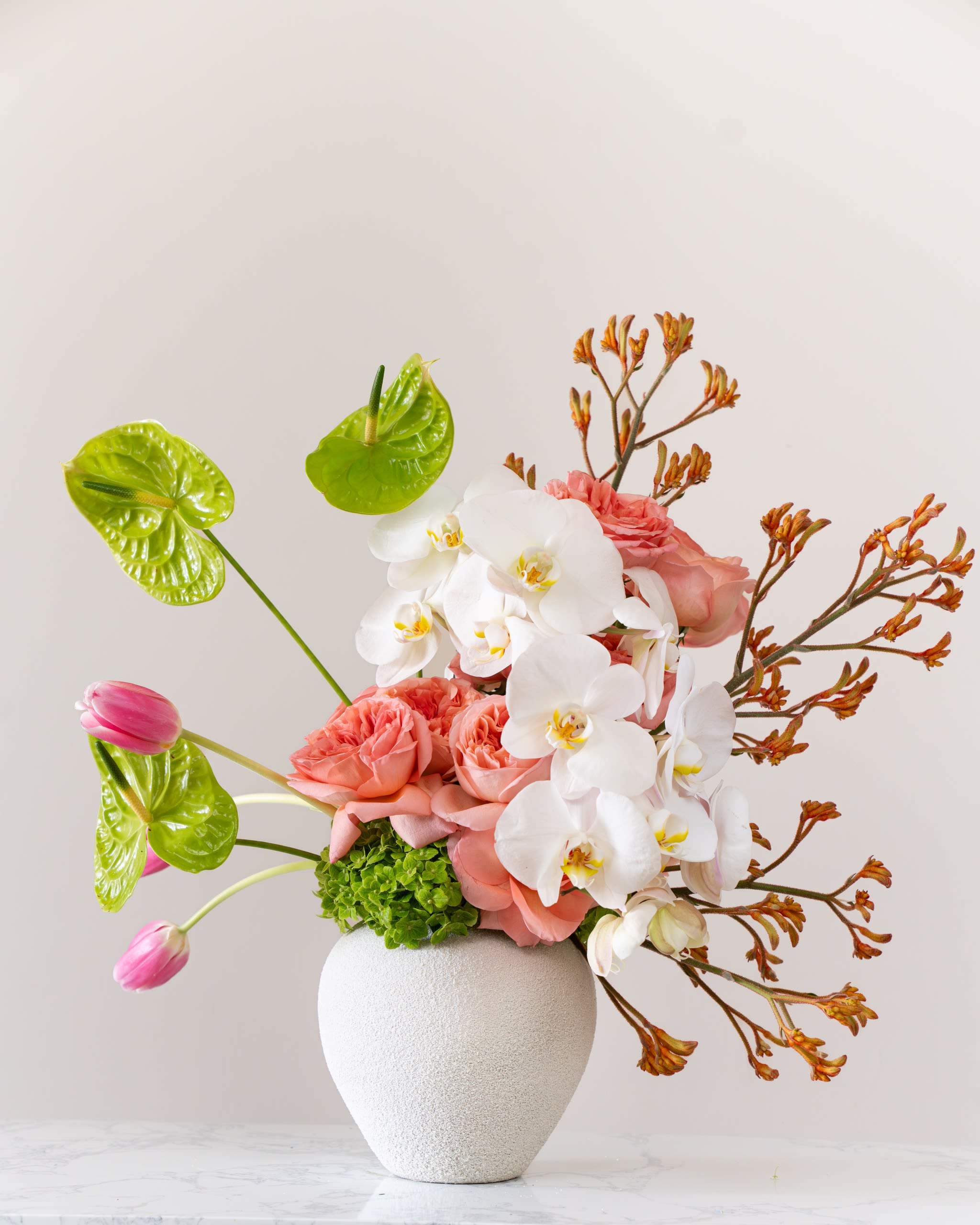 Spring Elegance - Spring Elegance