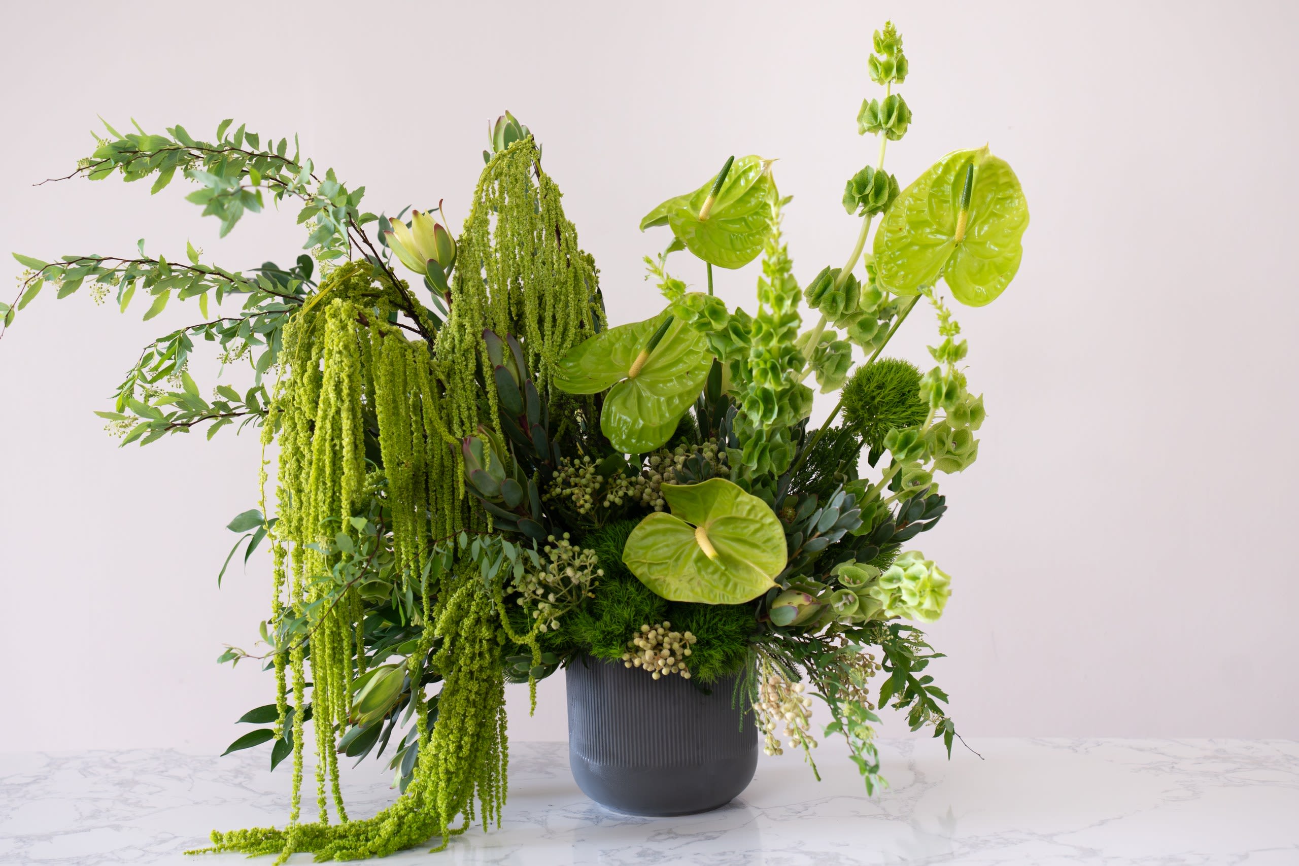 Enchanted Garden - Enchanted Garden